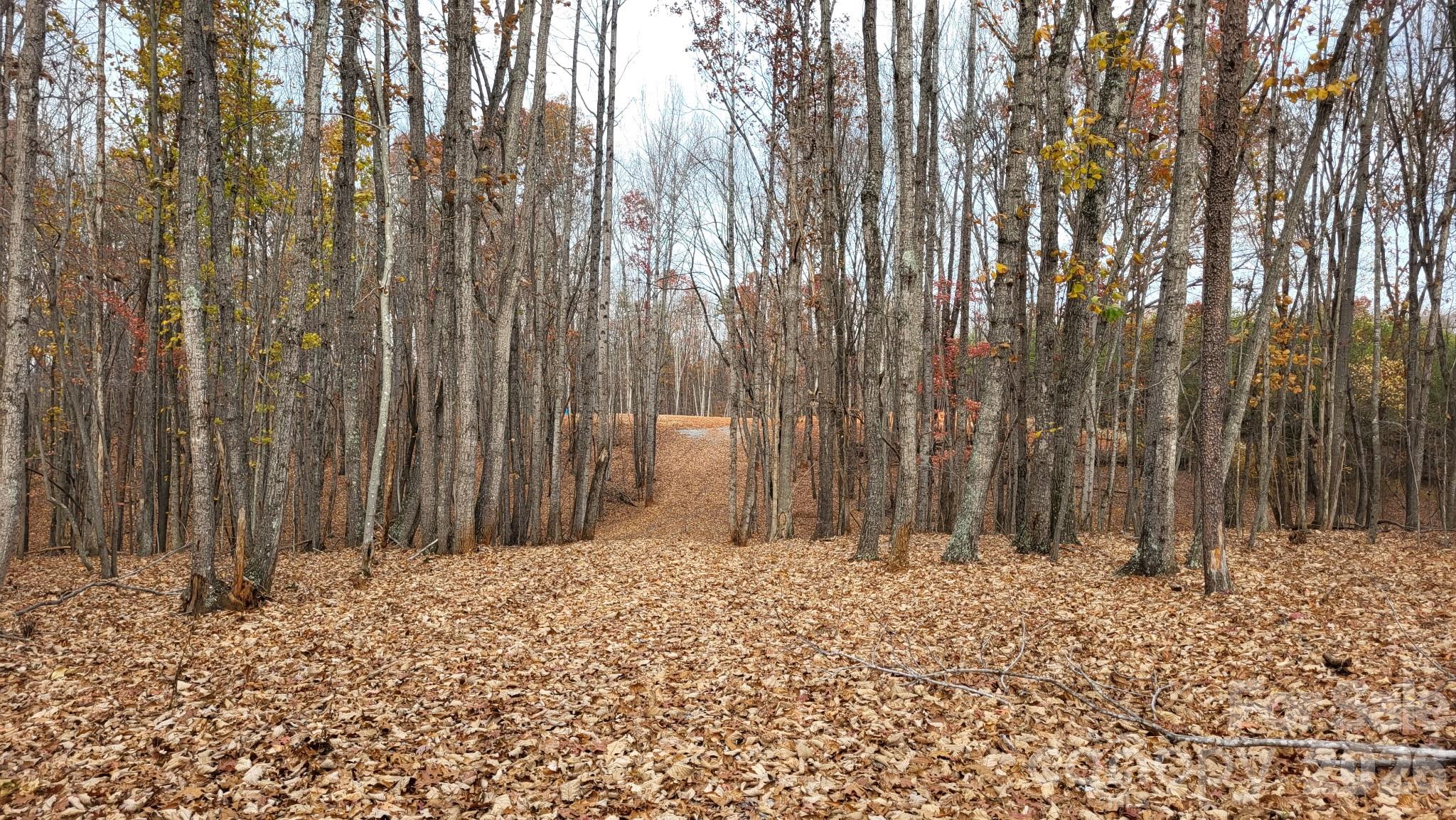 1056 Stephens Trail Road Property Photo 1