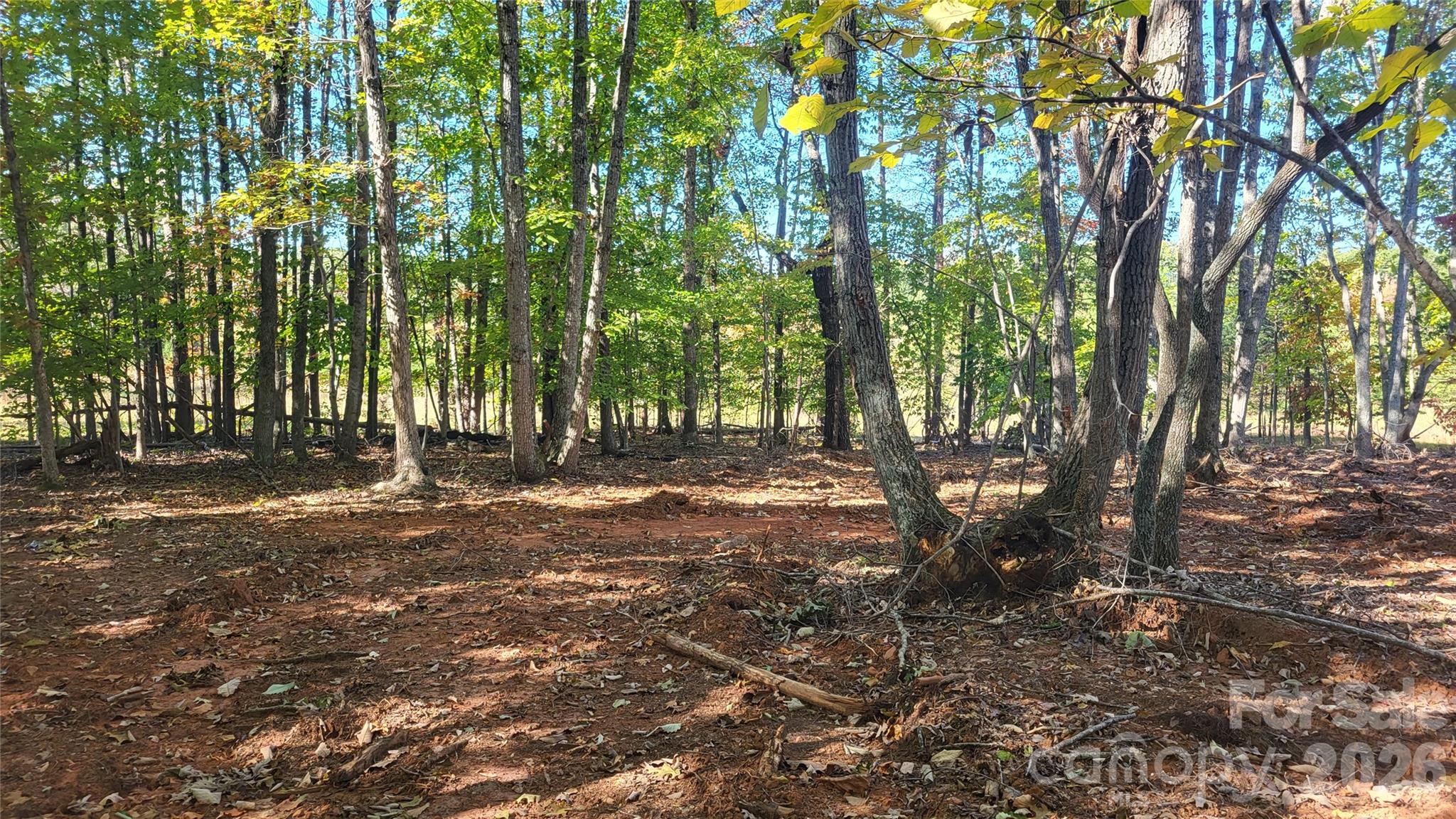 1056 Stephens Trail Road Property Photo 4