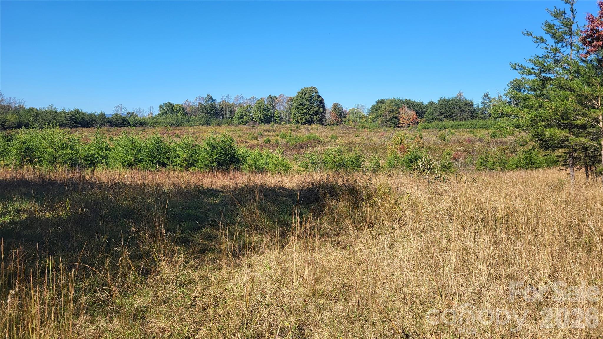 1056 Stephens Trail Road Property Photo 5