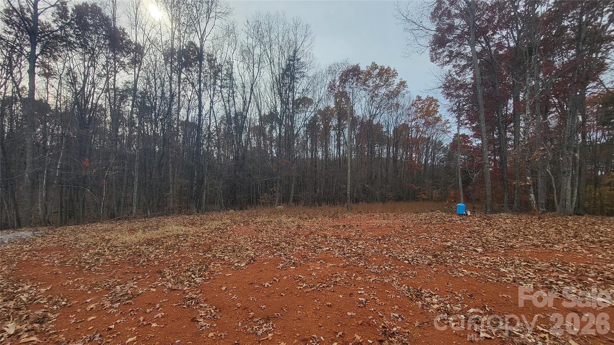 1056 Stephens Trail Road Property Photo 6