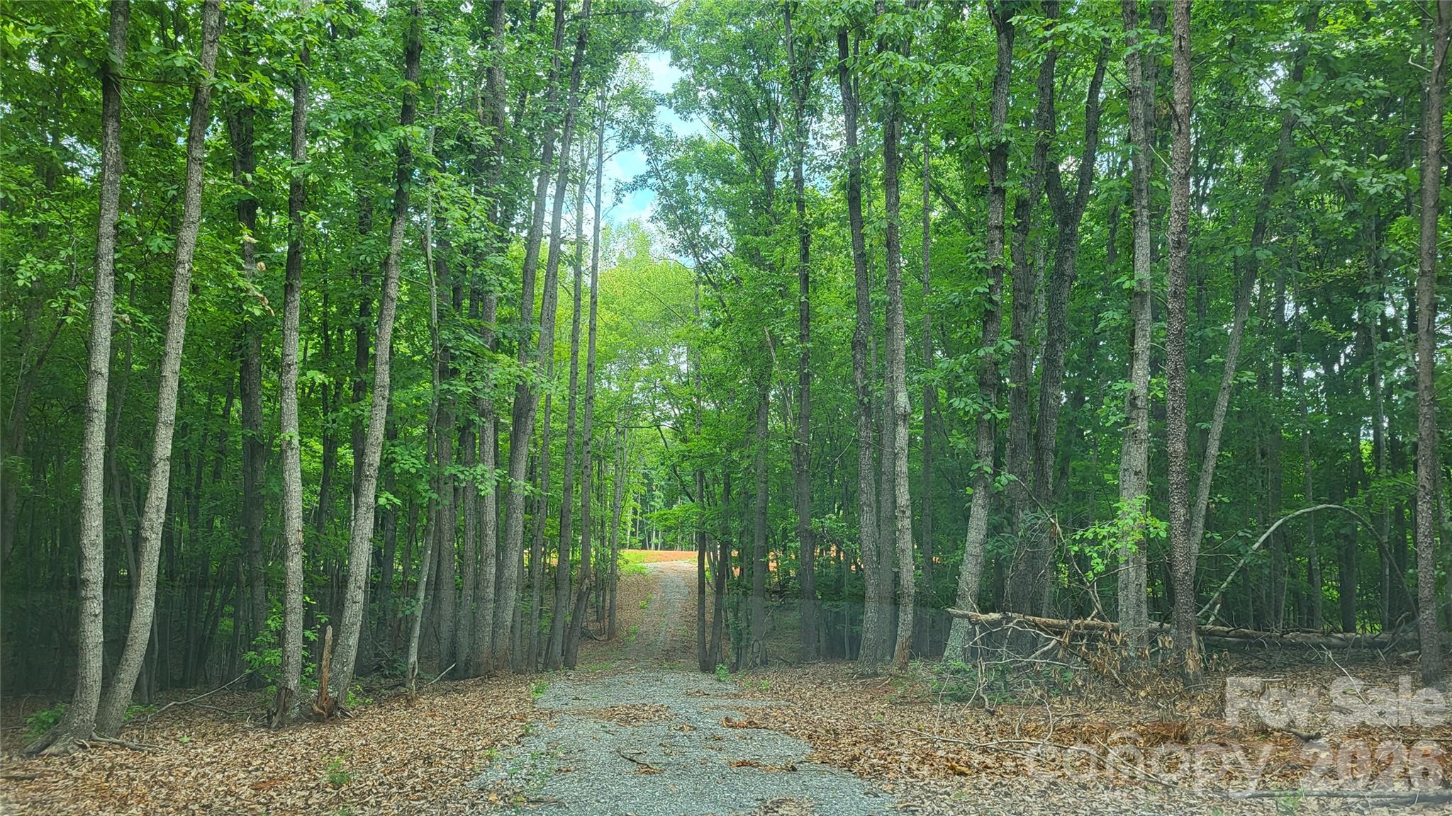 1056 Stephens Trail Road Property Photo 6