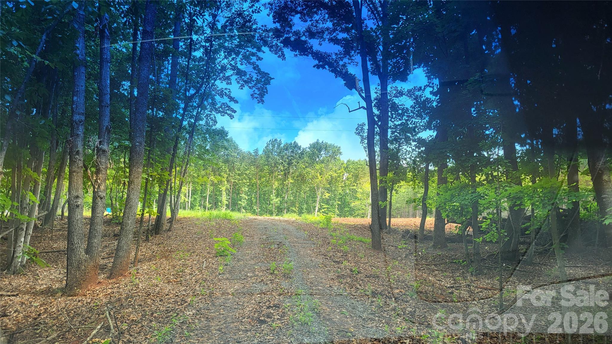 1056 Stephens Trail Road Property Photo 7