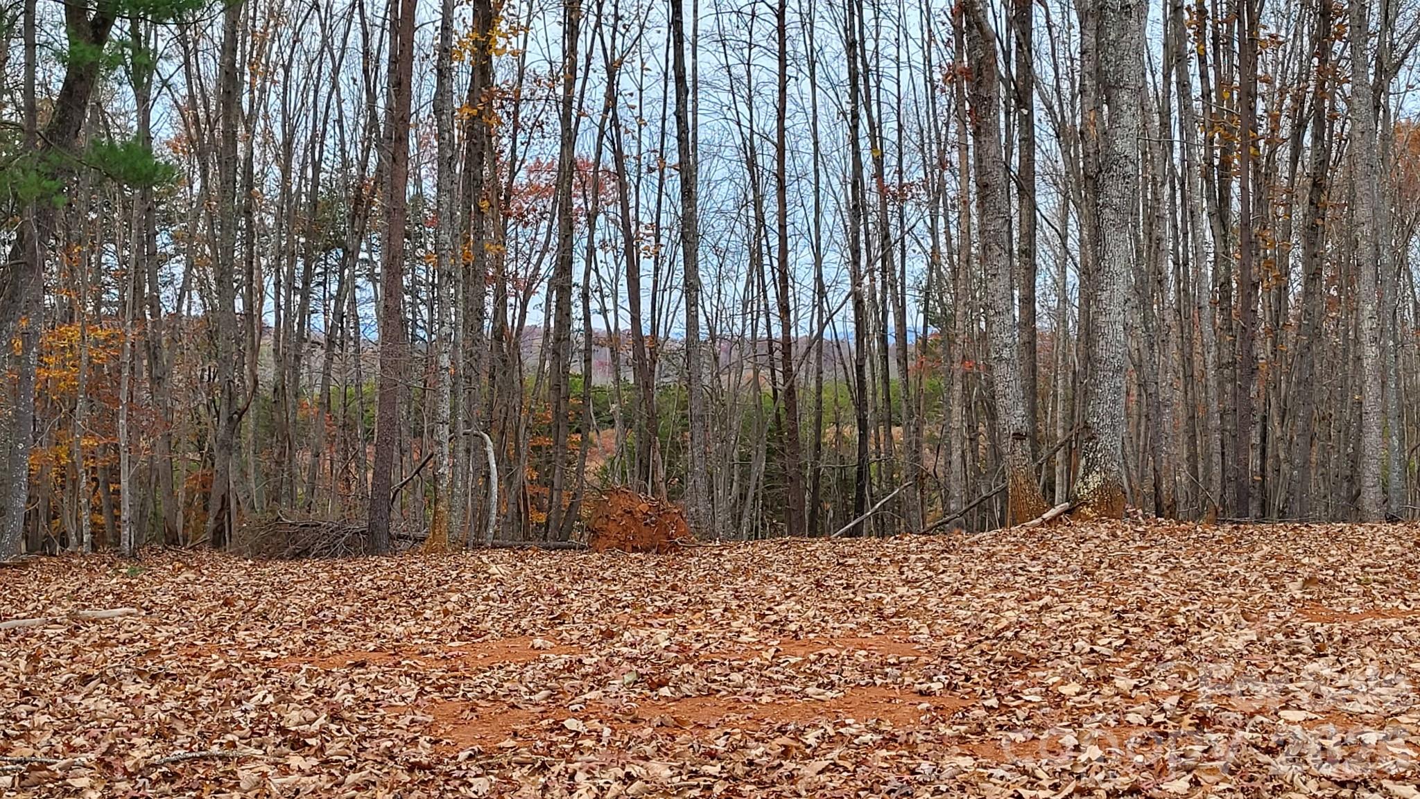 1056 Stephens Trail Road Property Photo 10