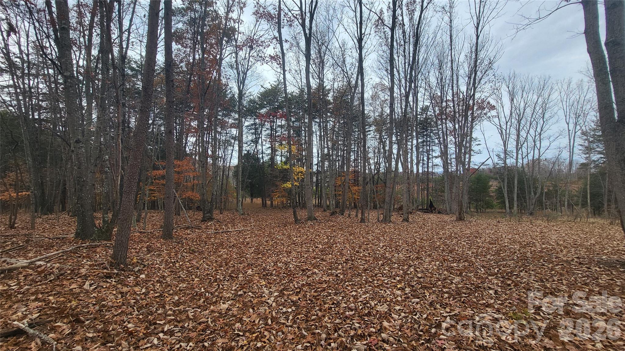 1056 Stephens Trail Road Property Photo 11