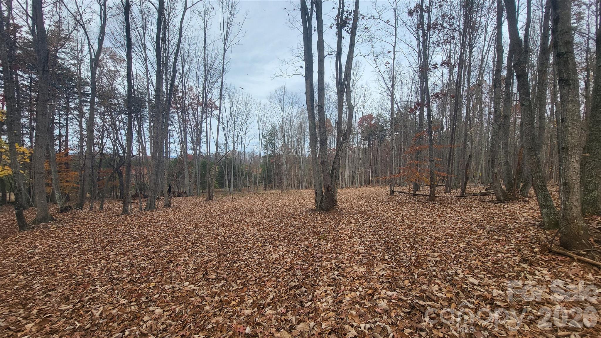 1056 Stephens Trail Road Property Photo 12