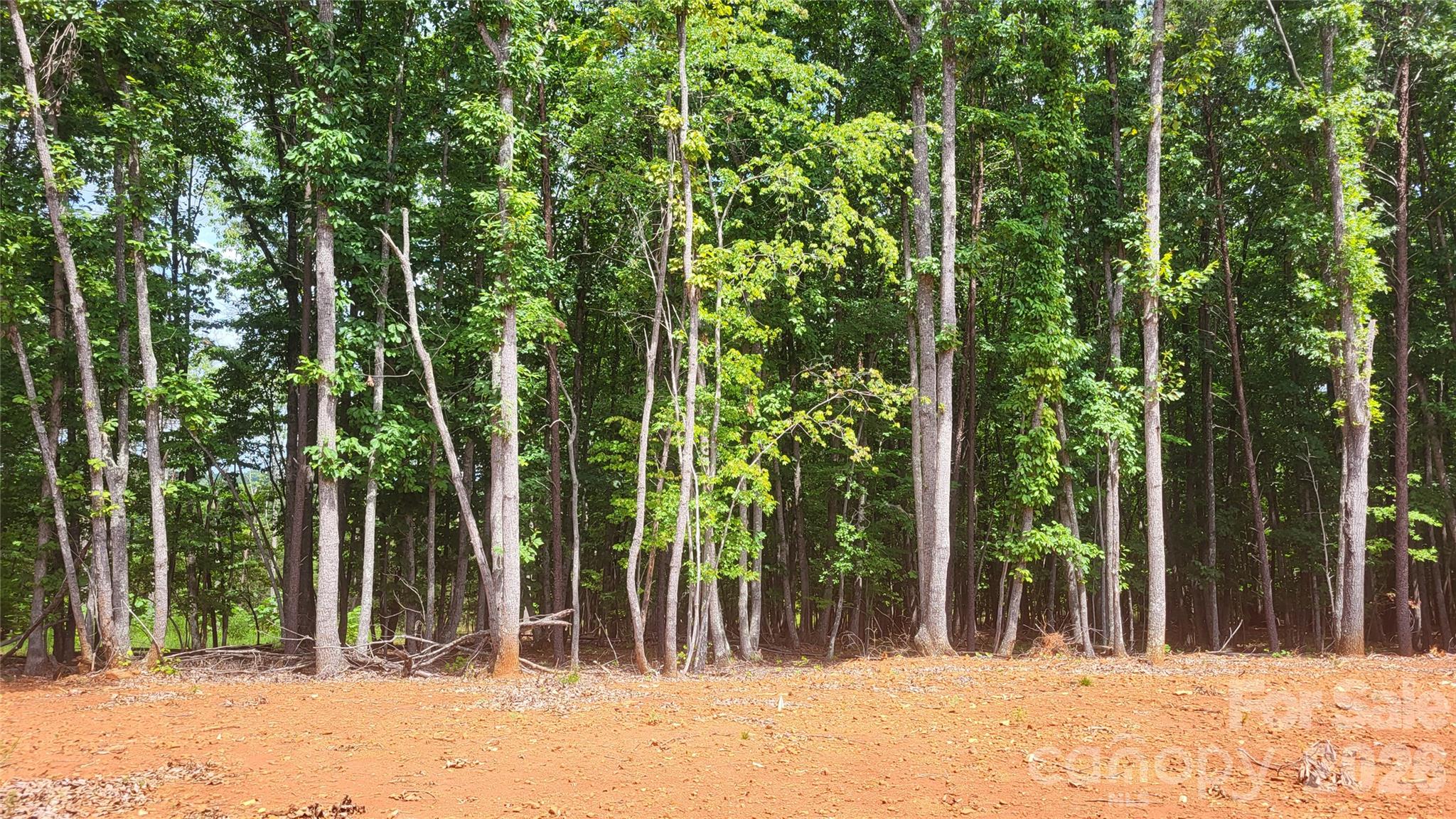 1056 Stephens Trail Road Property Photo 12