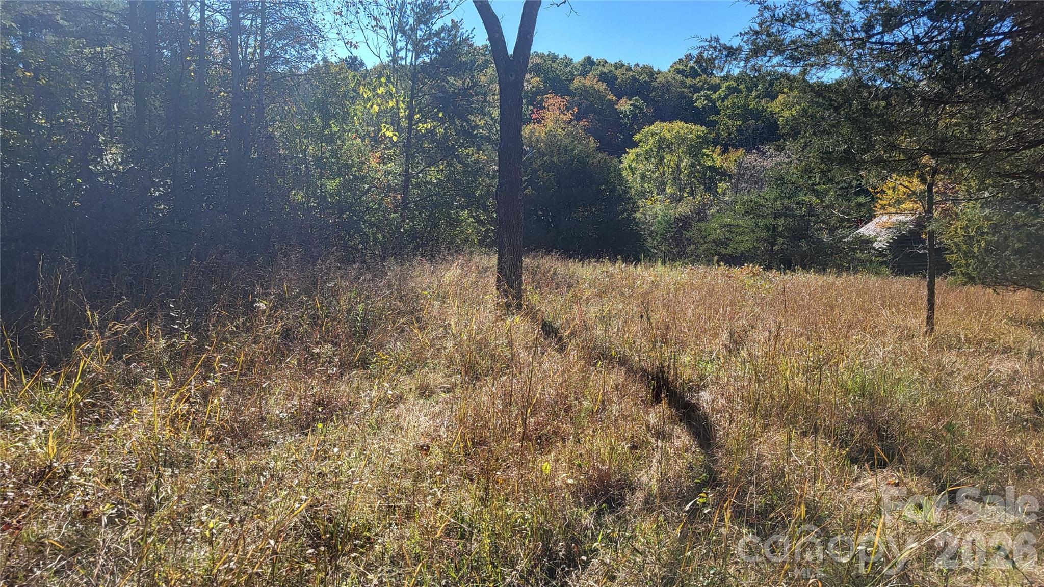 1056 Stephens Trail Road Property Photo 13