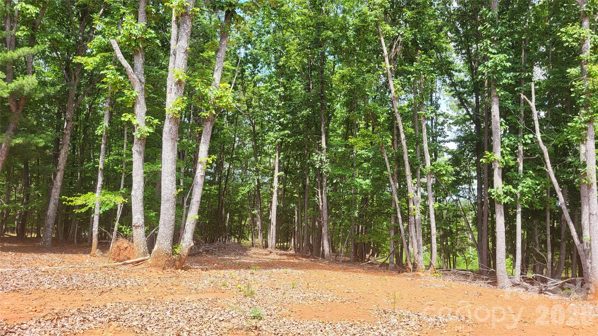 1056 Stephens Trail Road Property Photo 13