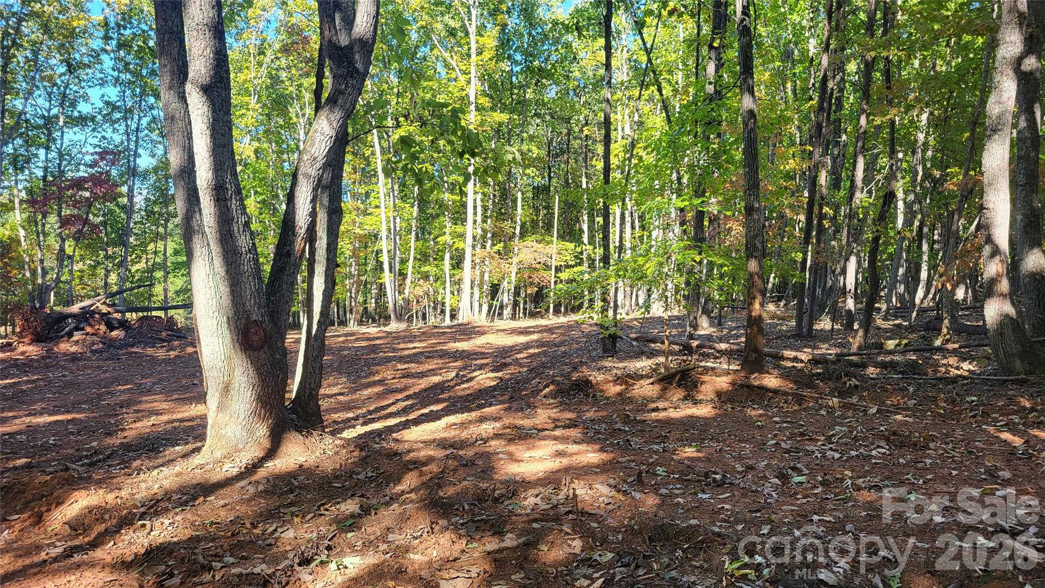 1056 Stephens Trail Road Property Photo 14