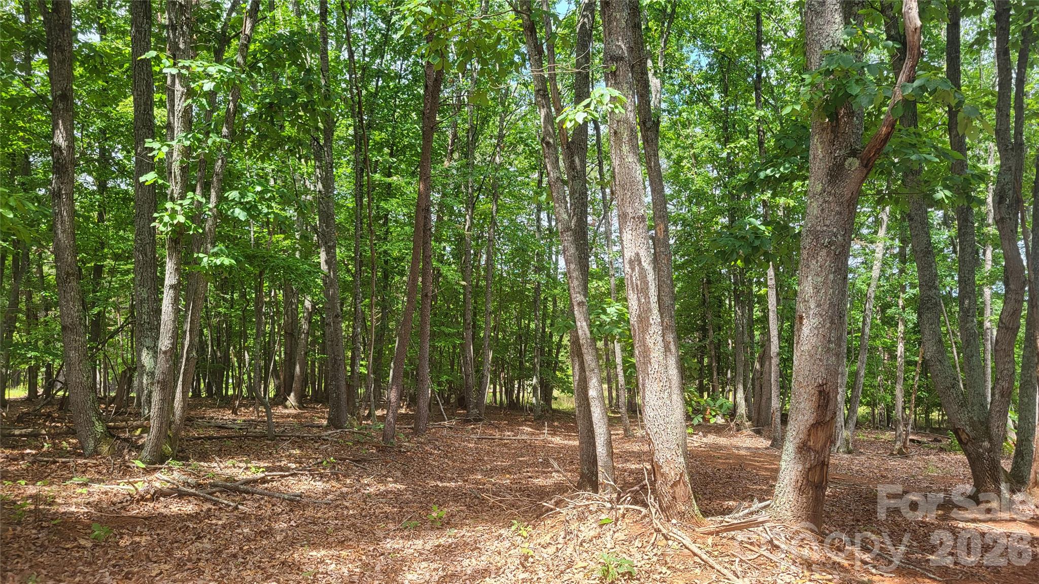 1056 Stephens Trail Road Property Photo 14
