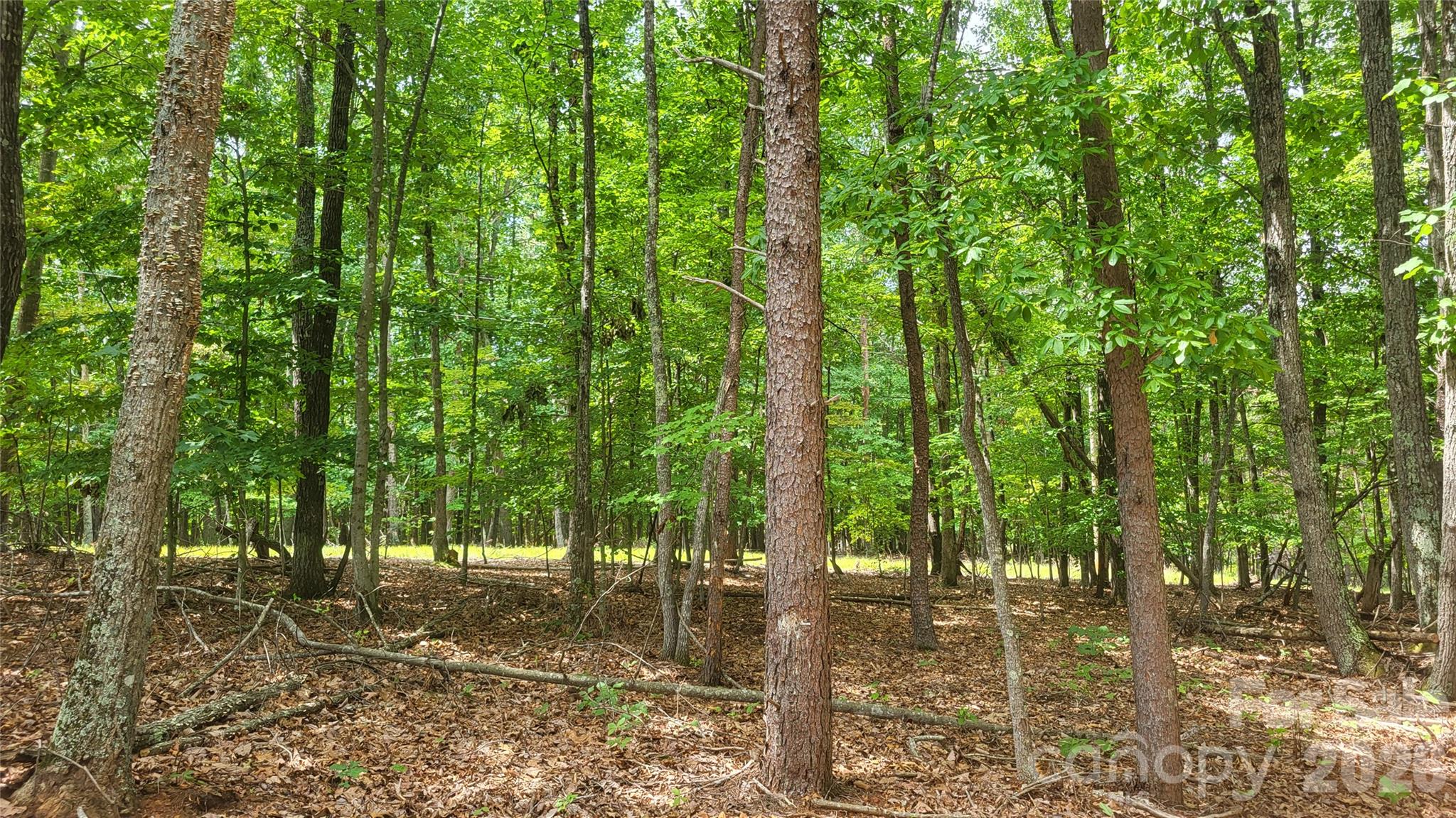 1056 Stephens Trail Road Property Photo 15