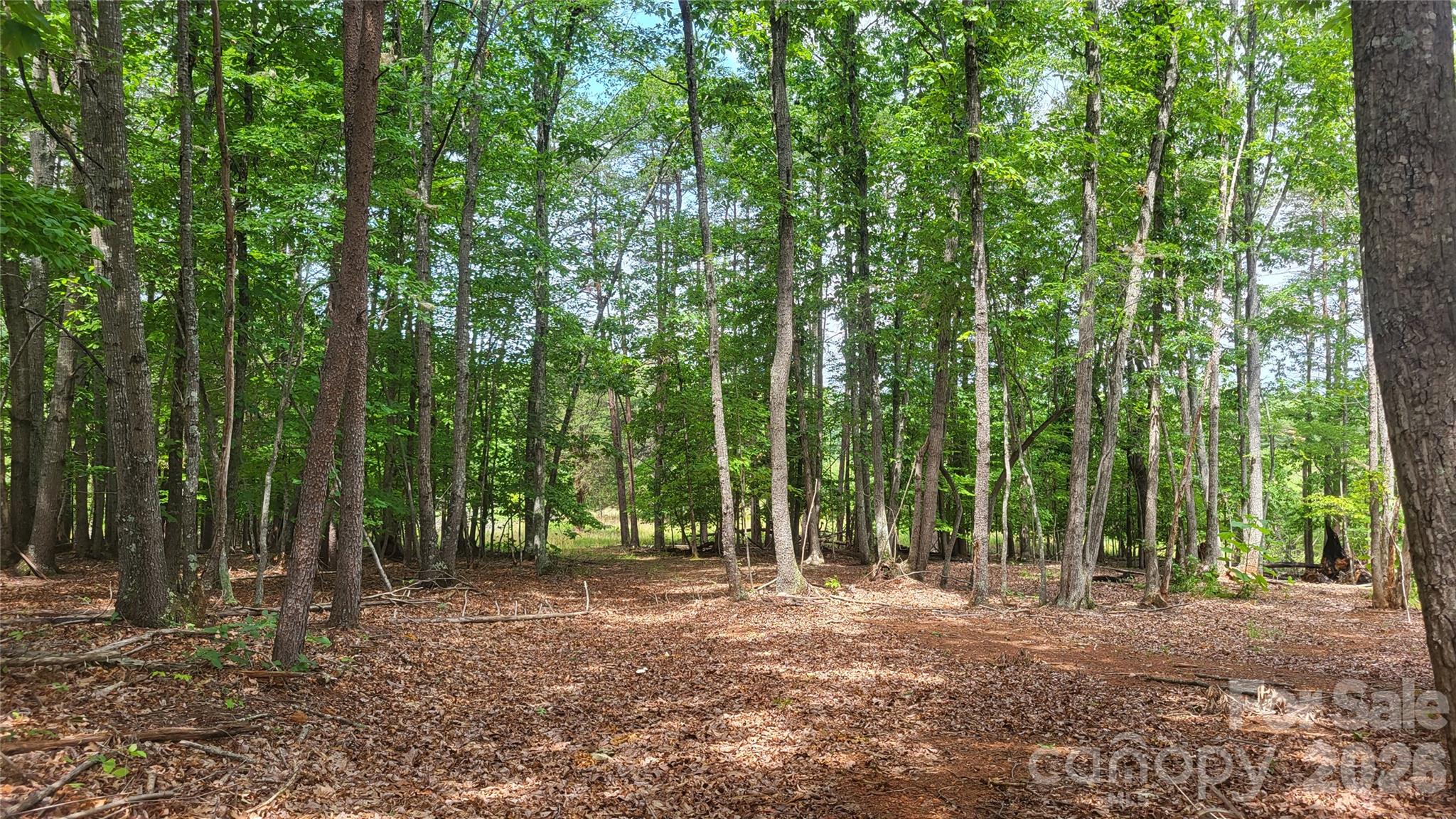 1056 Stephens Trail Road Property Photo 16