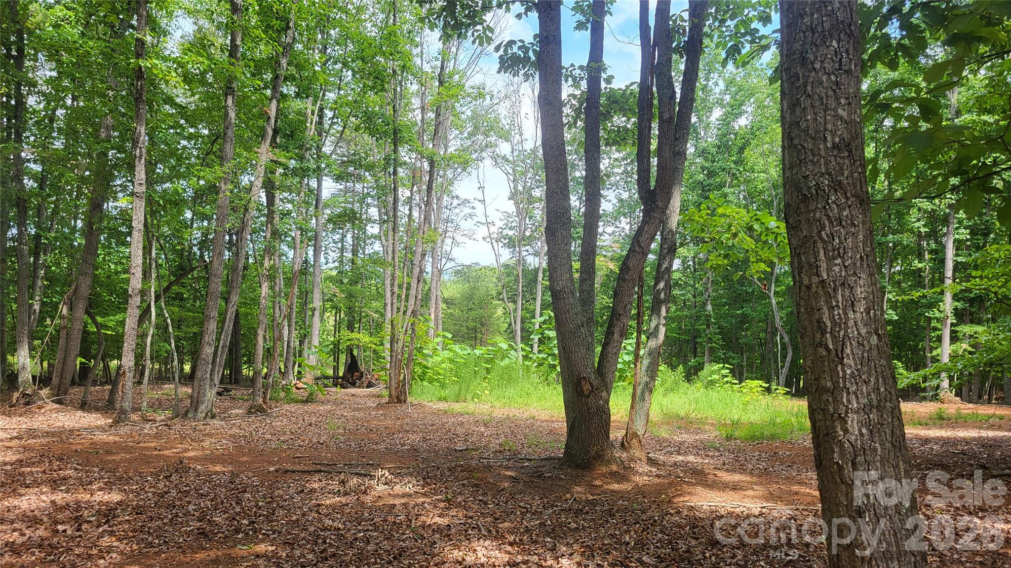 1056 Stephens Trail Road Property Photo 17