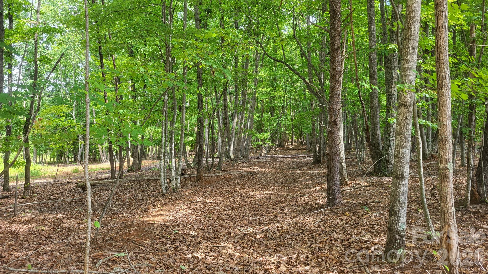 1056 Stephens Trail Road Property Photo 18