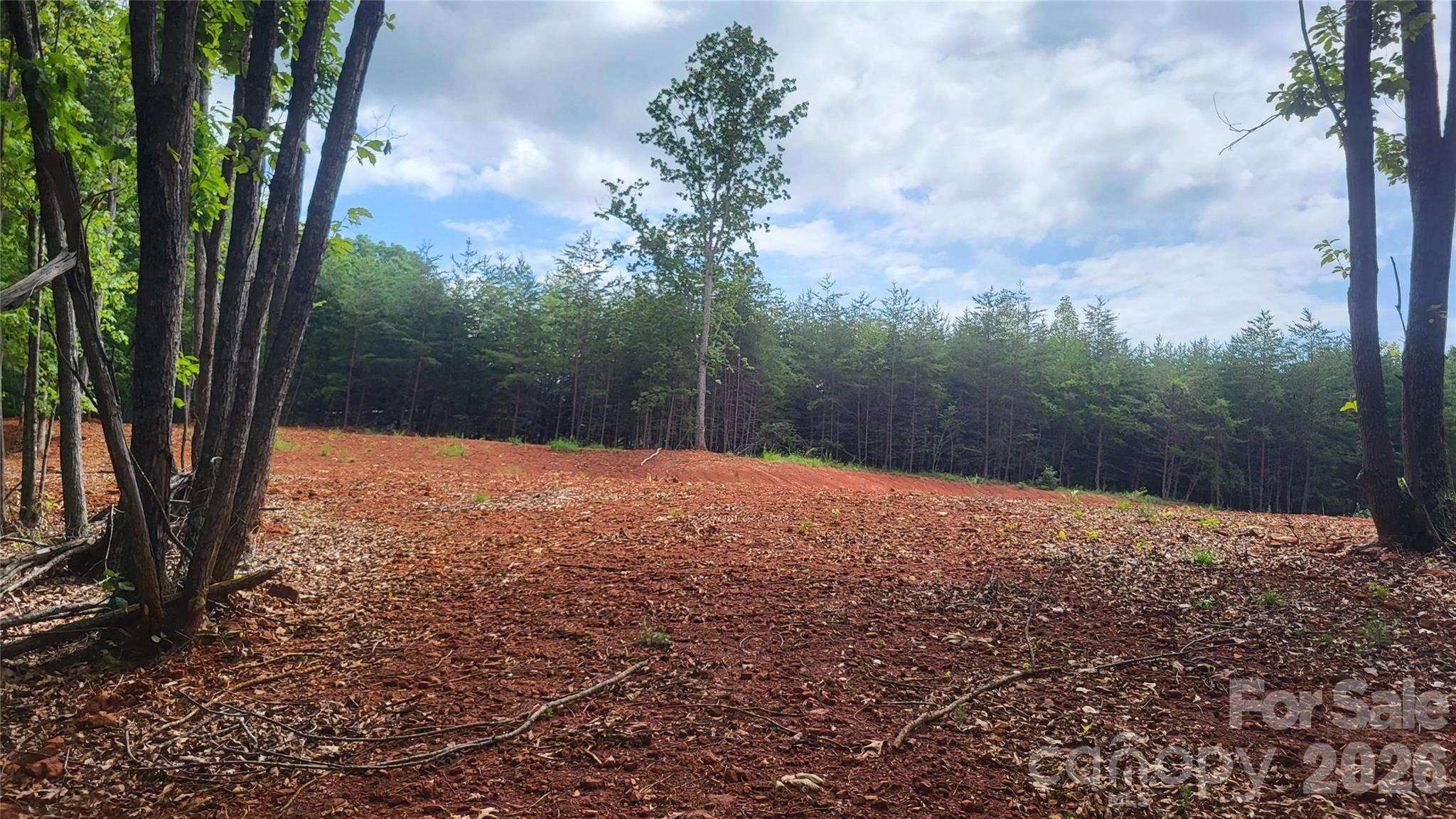 1056 Stephens Trail Road Property Photo 19