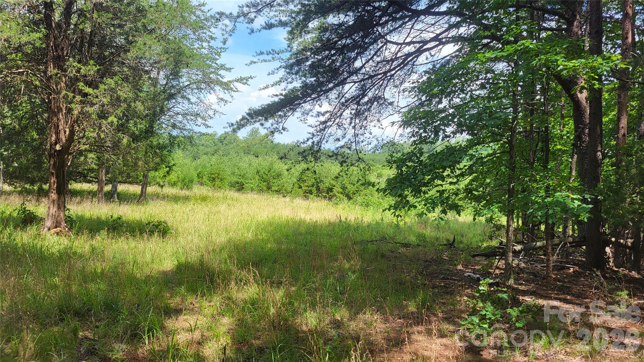 1056 Stephens Trail Road Property Photo 20