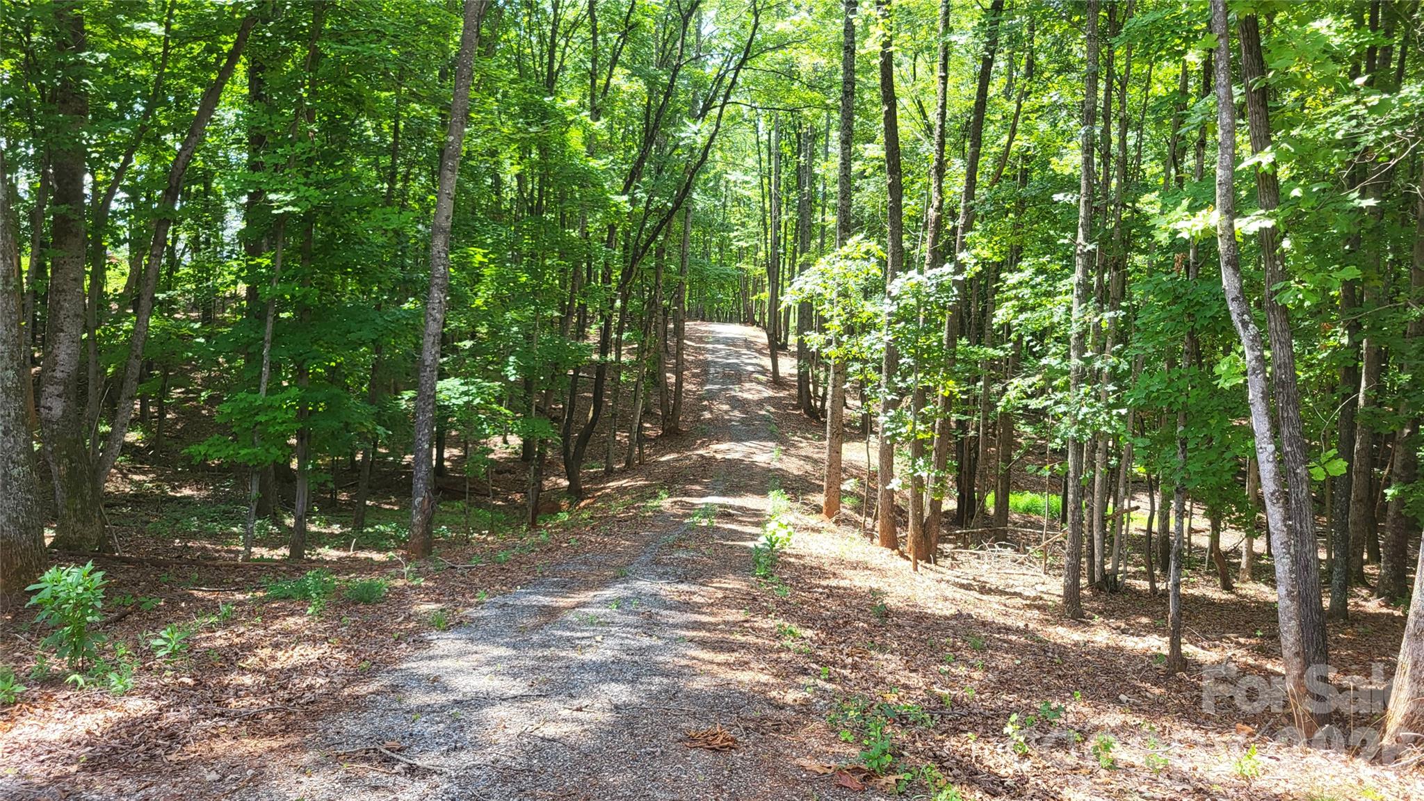 1056 Stephens Trail Road Property Photo 25