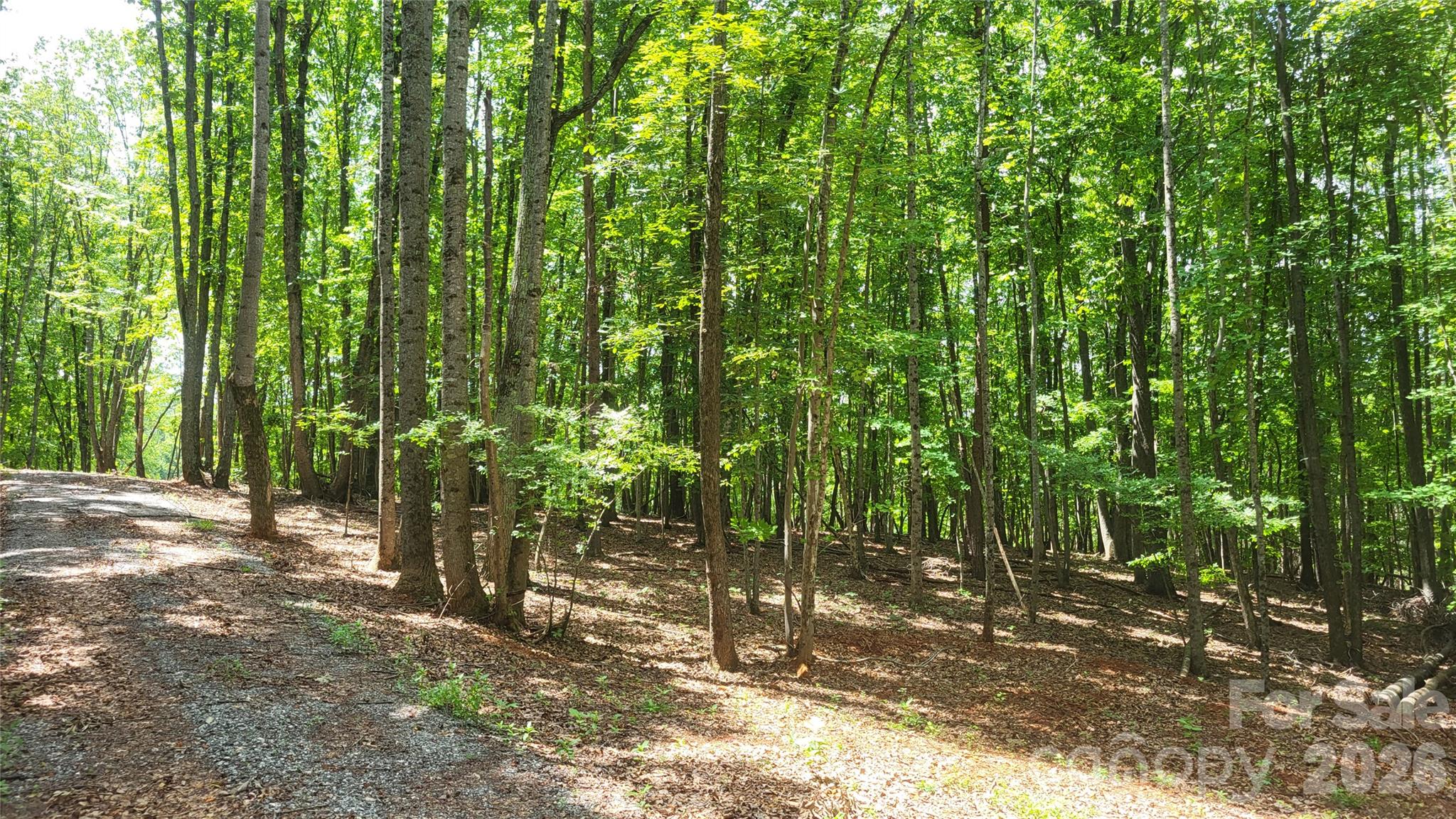 1056 Stephens Trail Road Property Photo 26