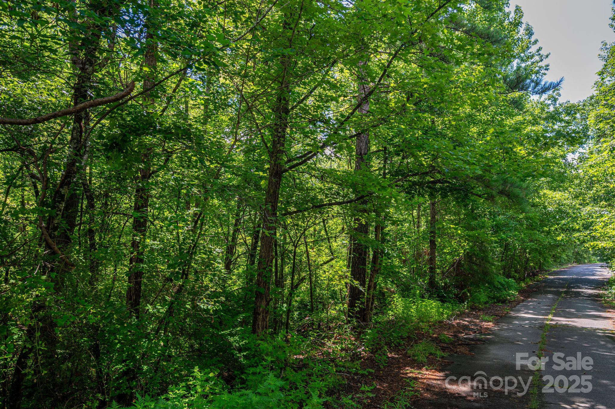 Lot 31 Line Drive Property Photo 1