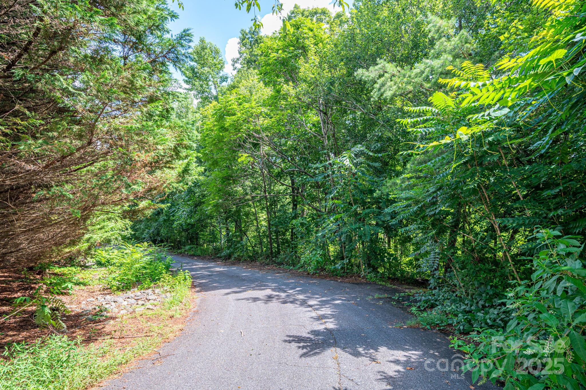 Lot 20 Line Drive Property Photo 1