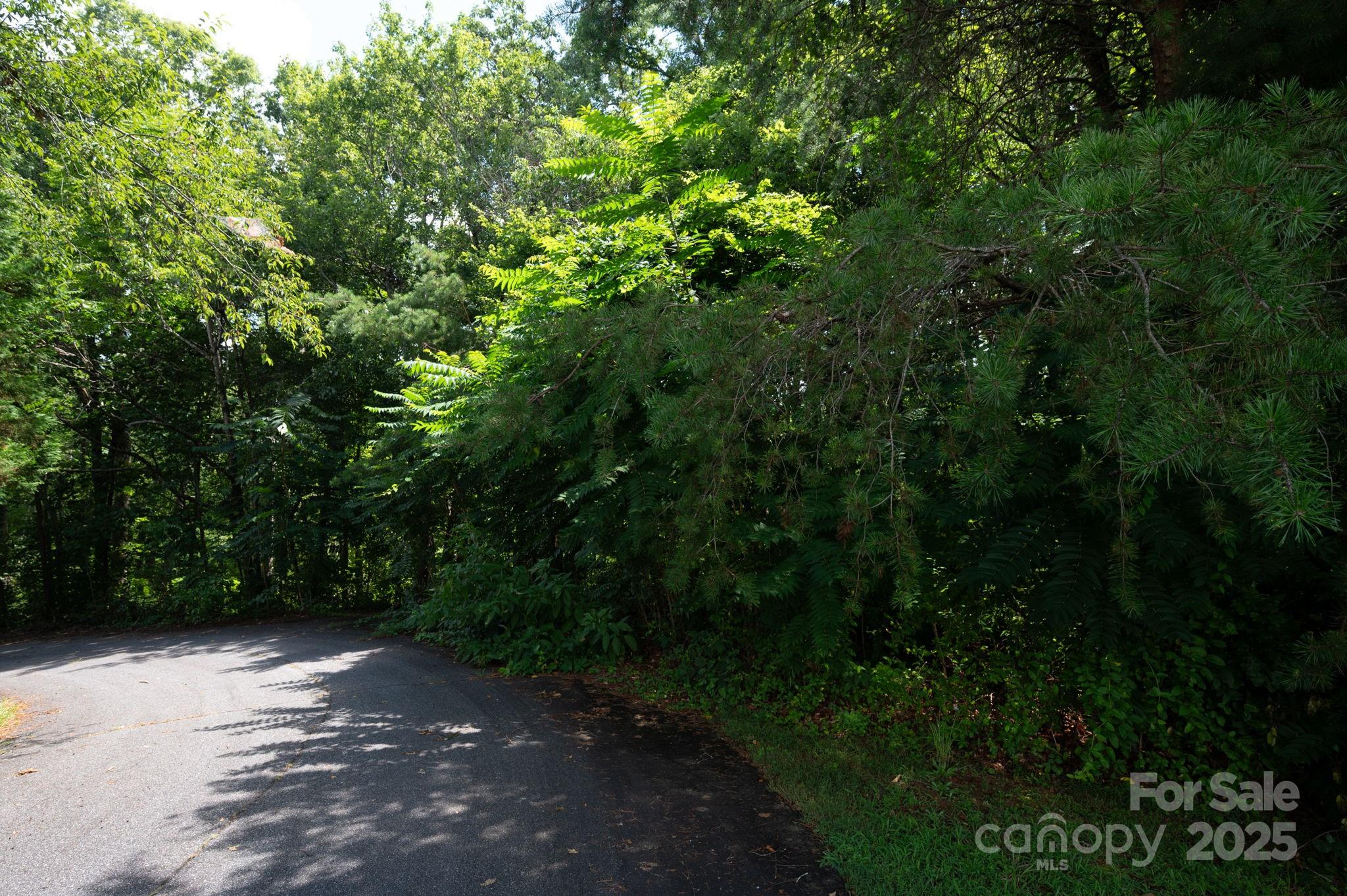 Lot 20 Line Drive Property Photo 4
