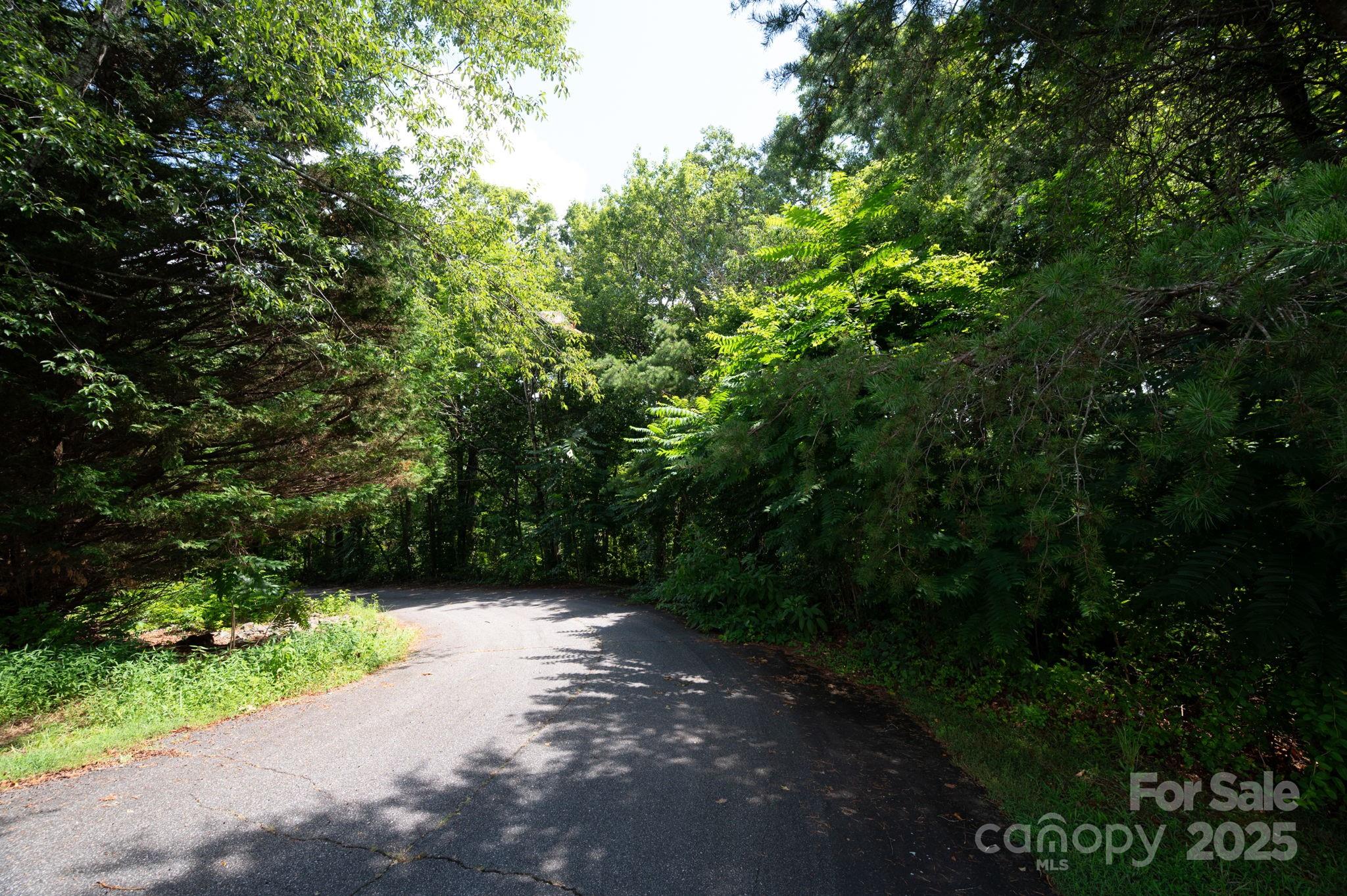 Lot 20 Line Drive Property Photo 7