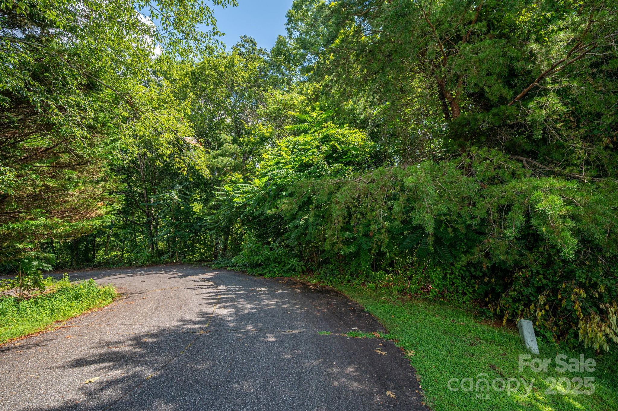 Lot 20 Line Drive Property Photo 8