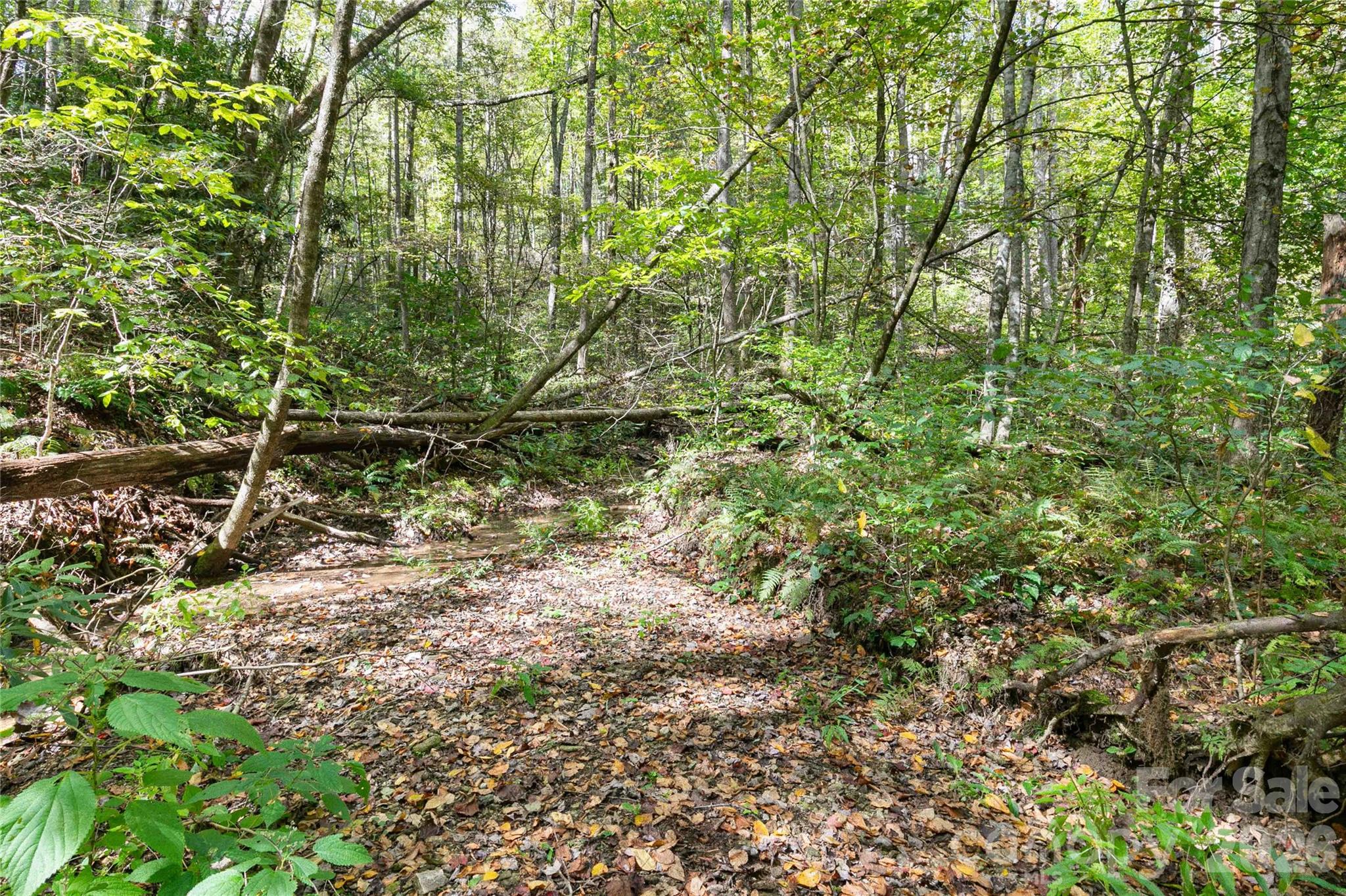 14 Johnny Farm Road Property Photo 3