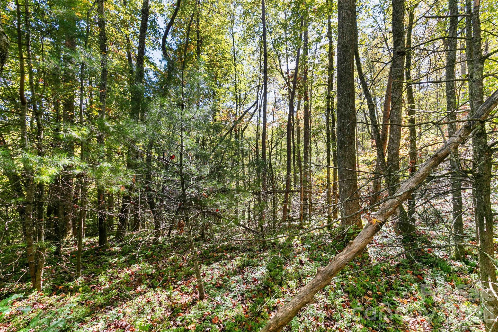 14 Johnny Farm Road Property Photo 10