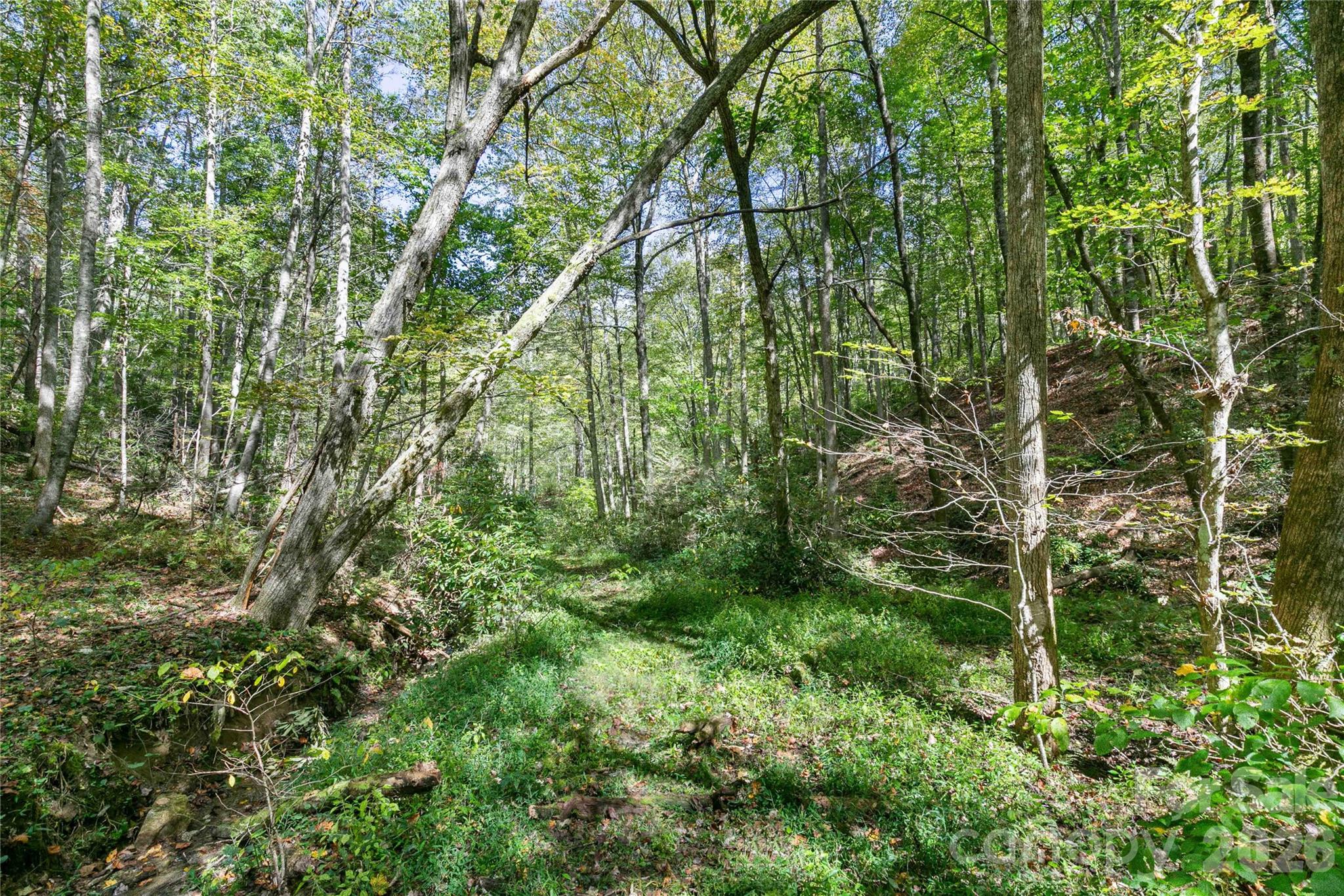 14 Johnny Farm Road Property Photo 11