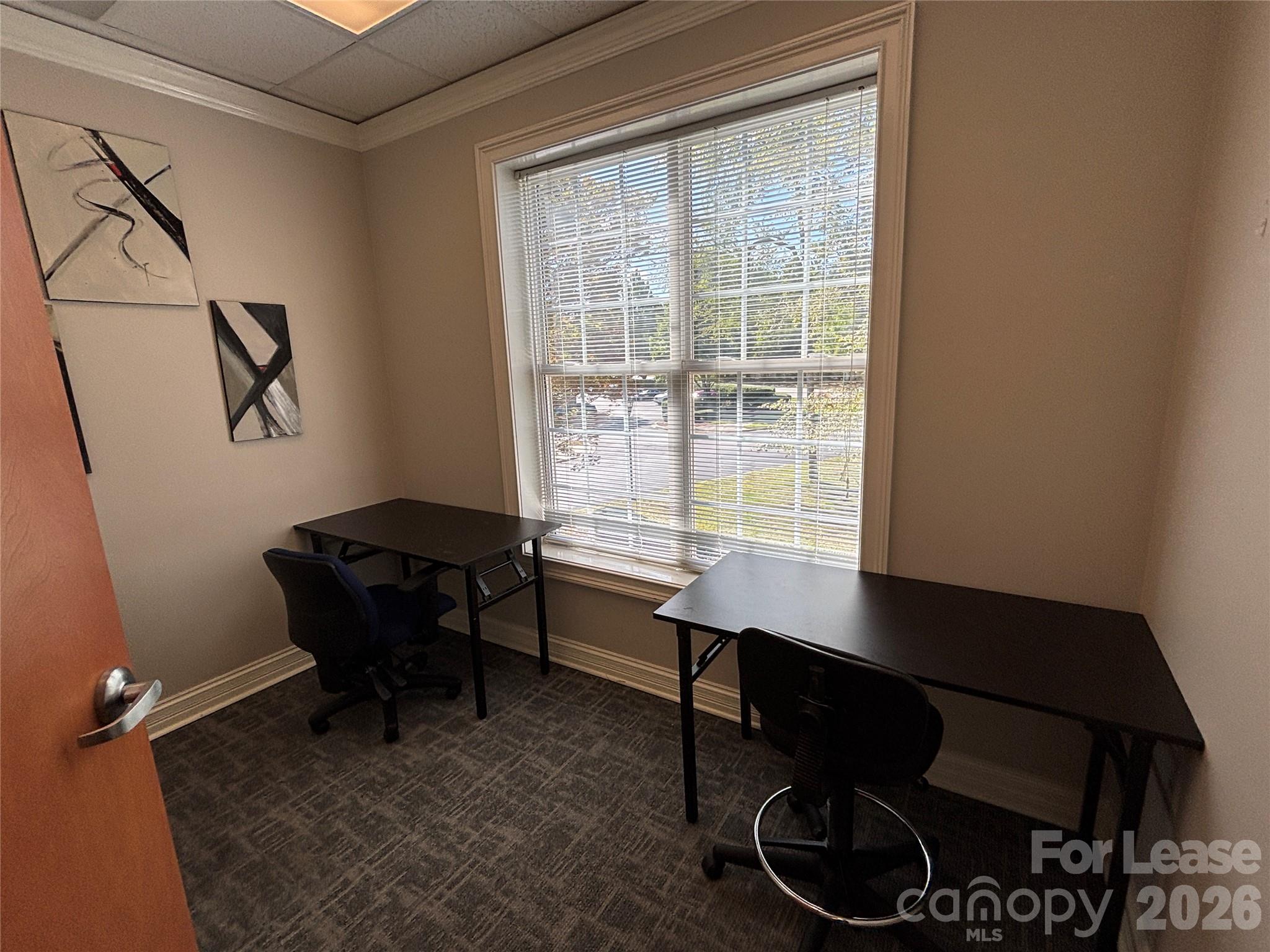 3121 Springbank Lane Property Photo 33