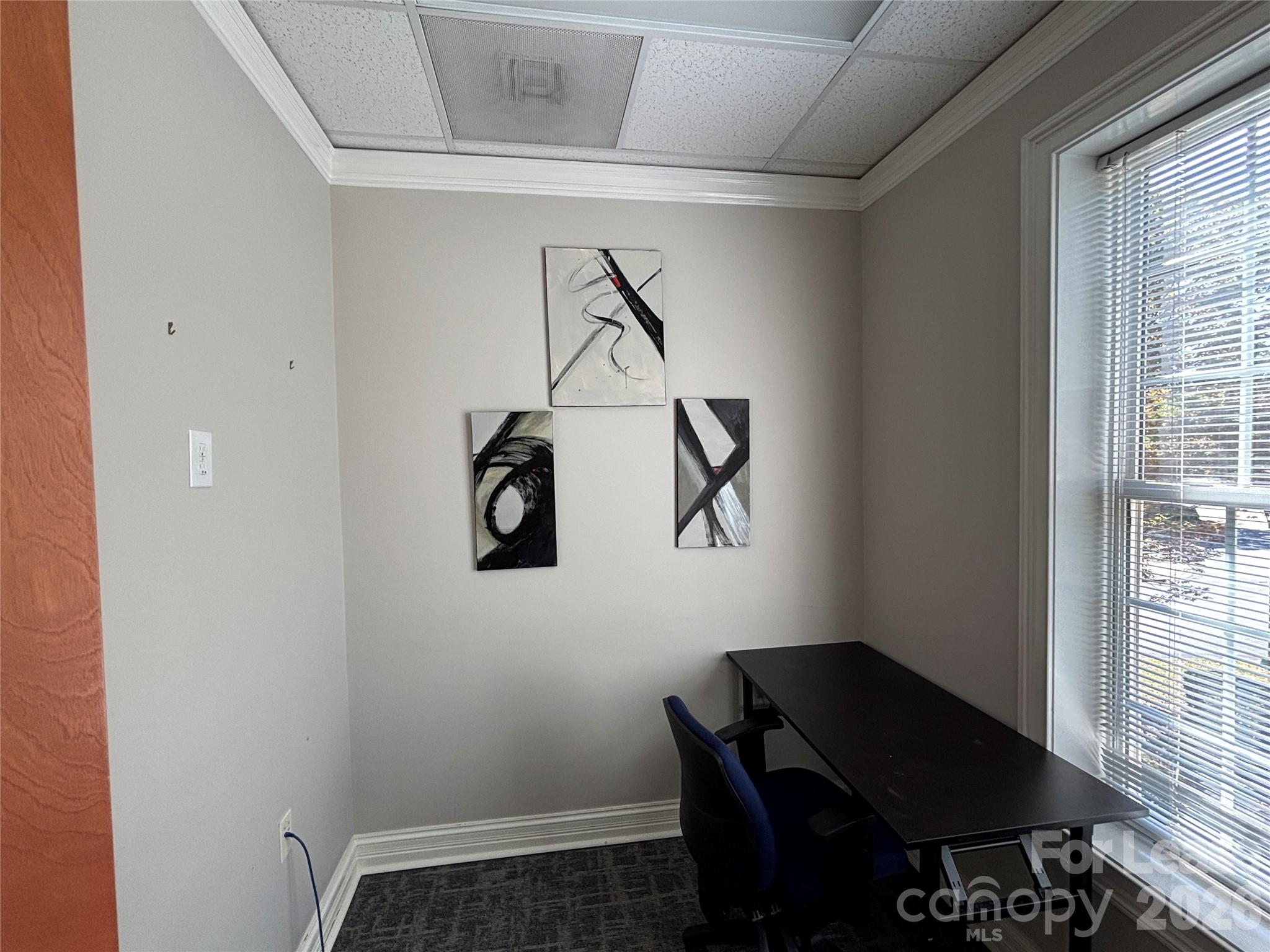 3121 Springbank Lane Property Photo 34