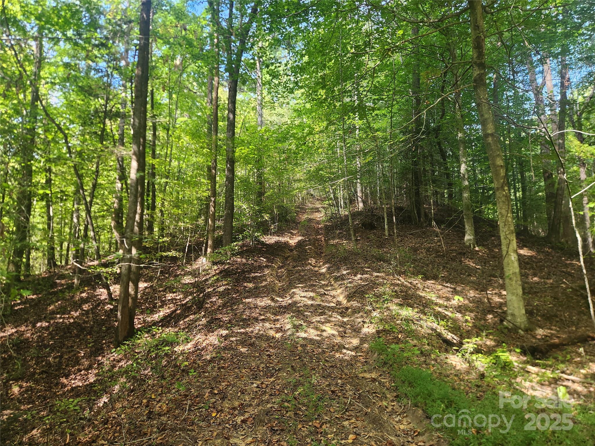 2500 Playmore Beach Road Property Photo 4