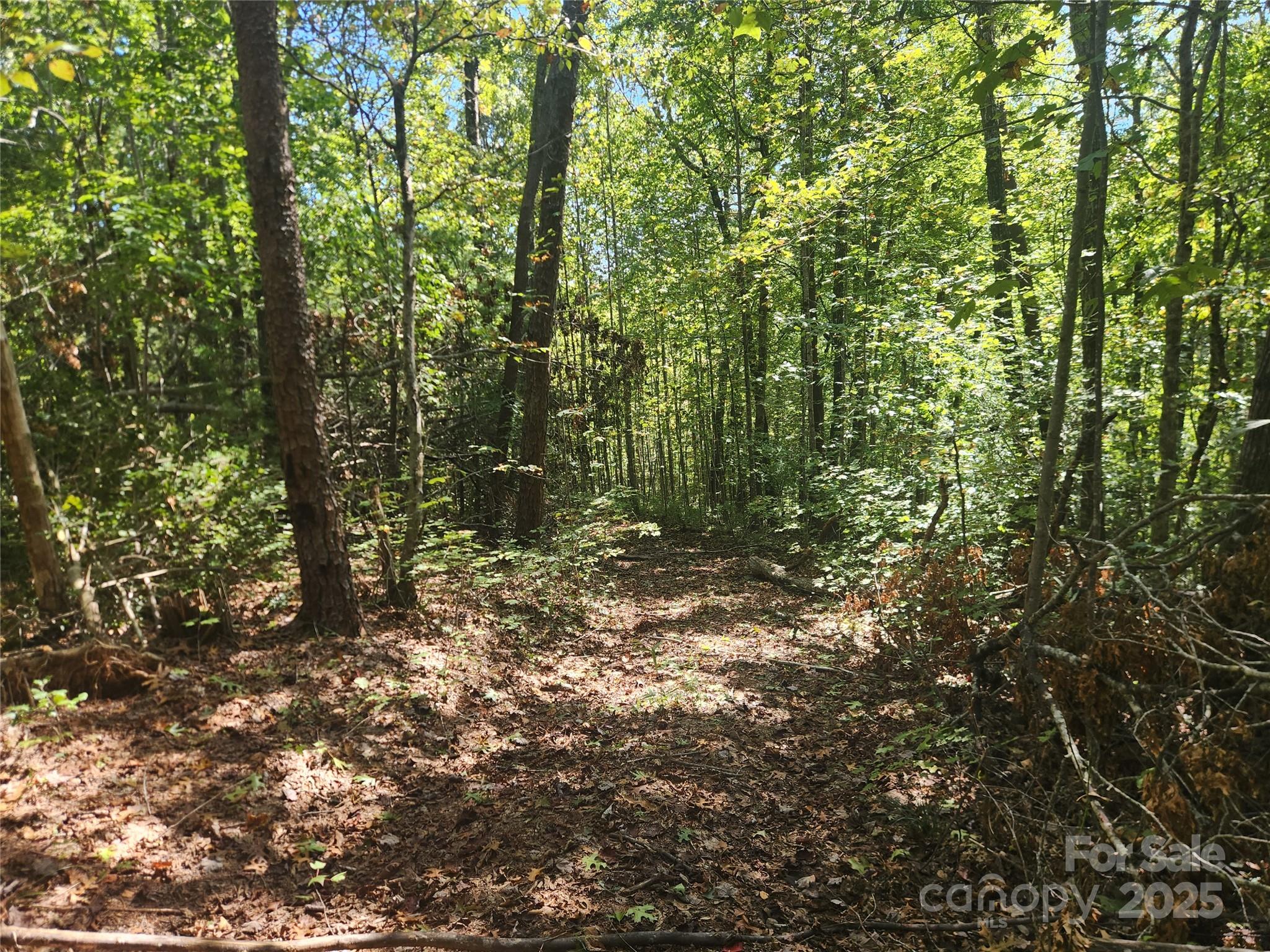 2500 Playmore Beach Road Property Photo 6