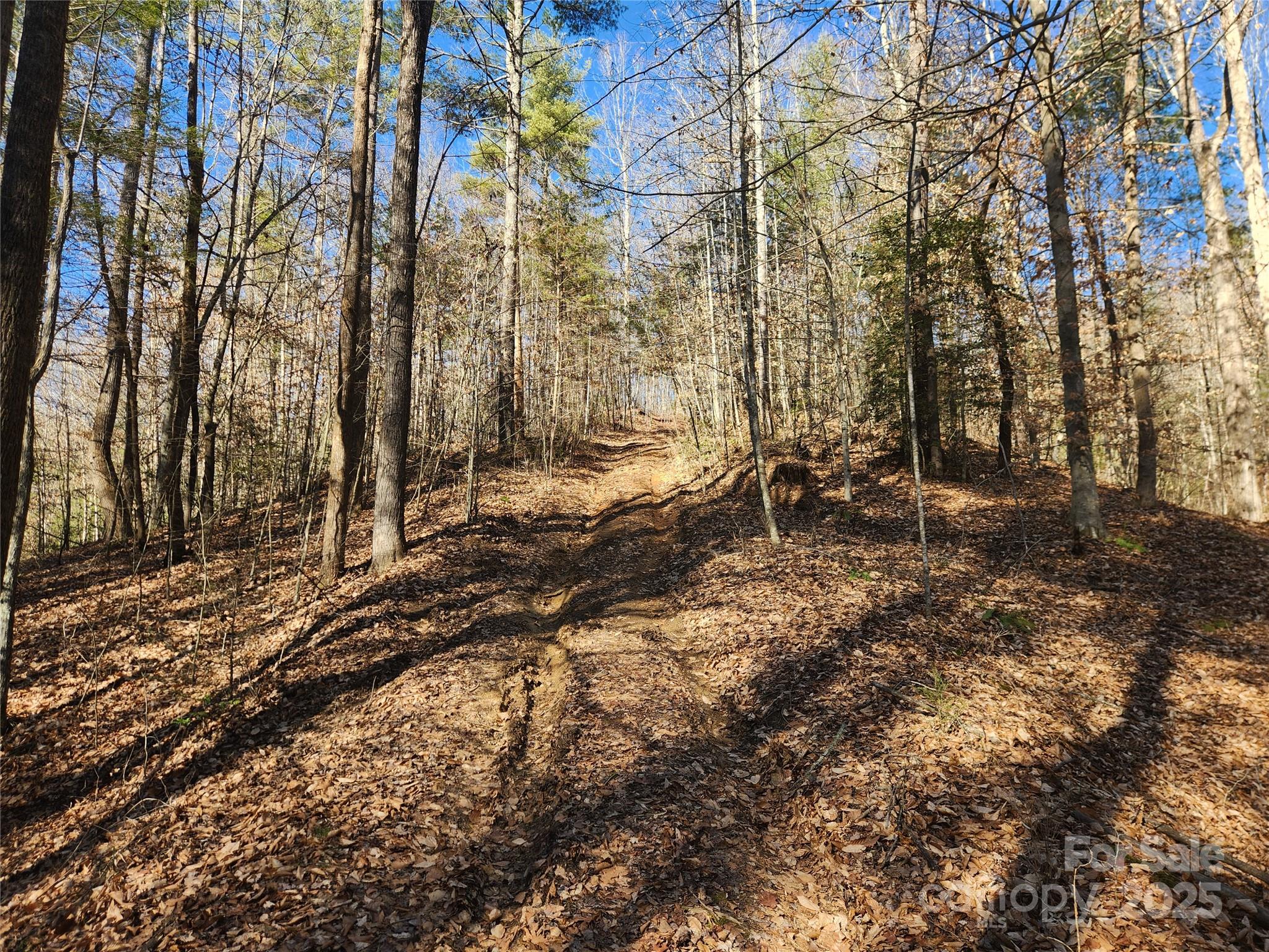 2500 Playmore Beach Road Property Photo 22