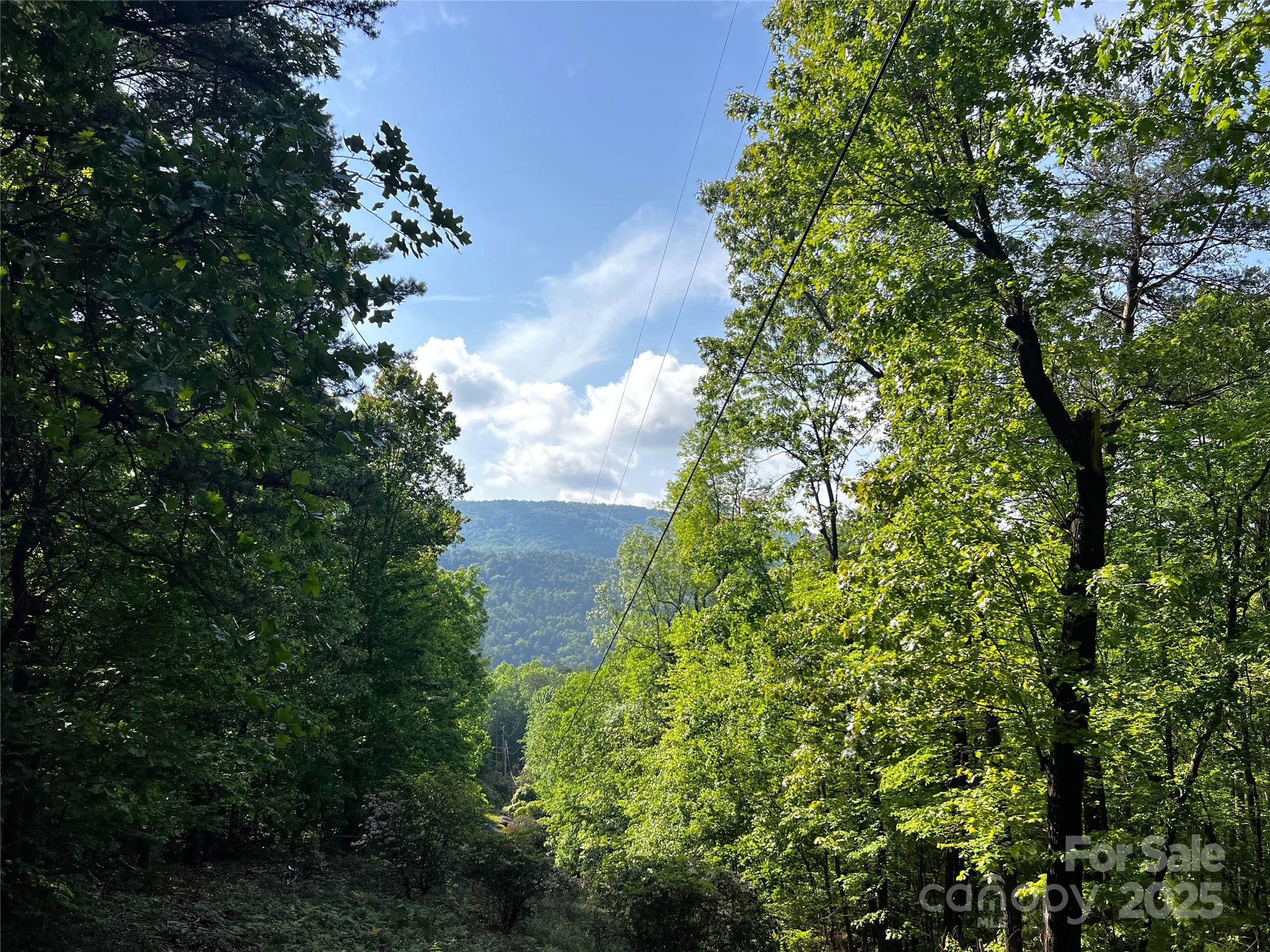 Lot 16 Arrowhead Ridge 16r Property Photo 1