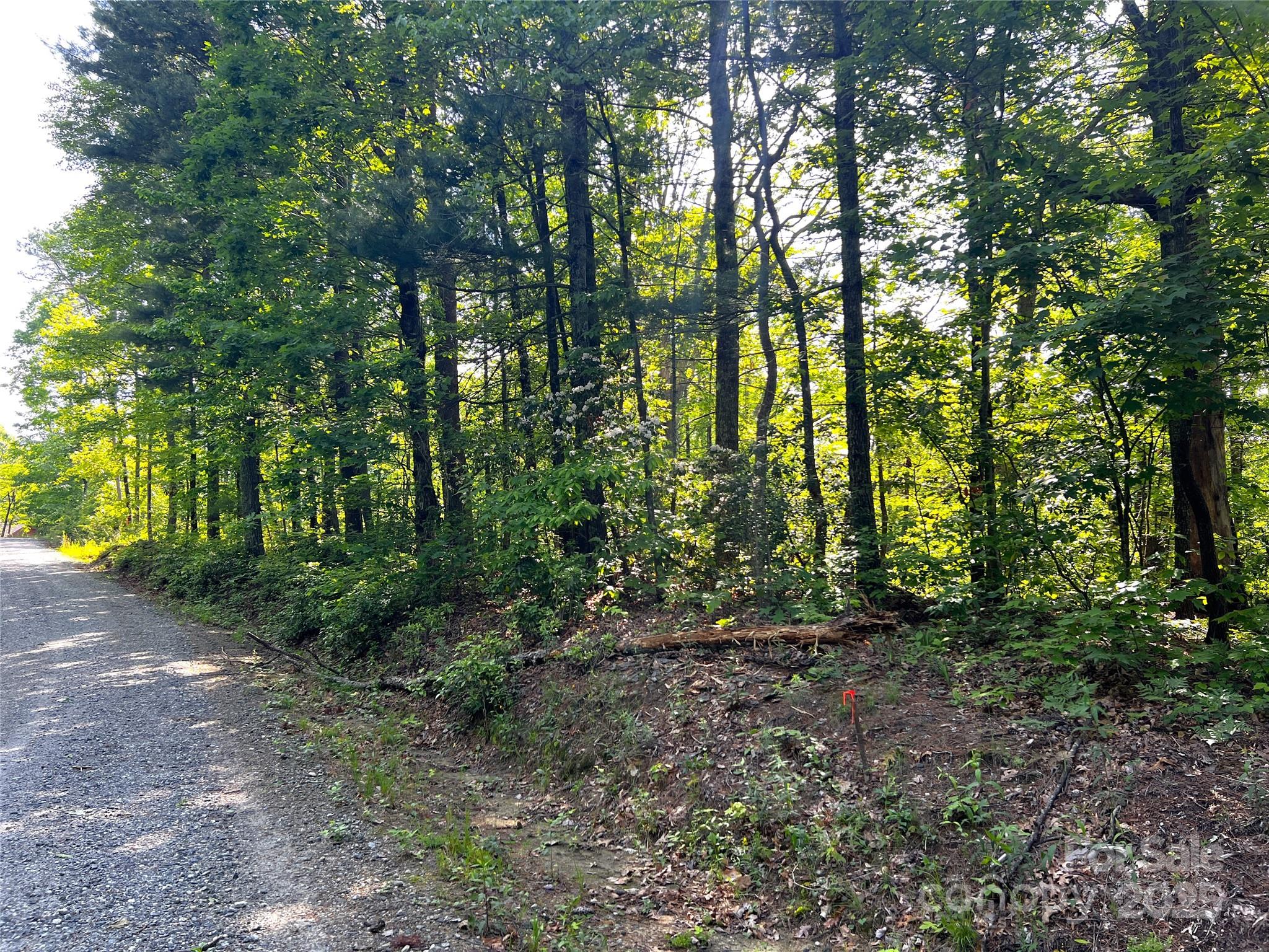 Lot 16 Arrowhead Ridge 16r Property Photo 2
