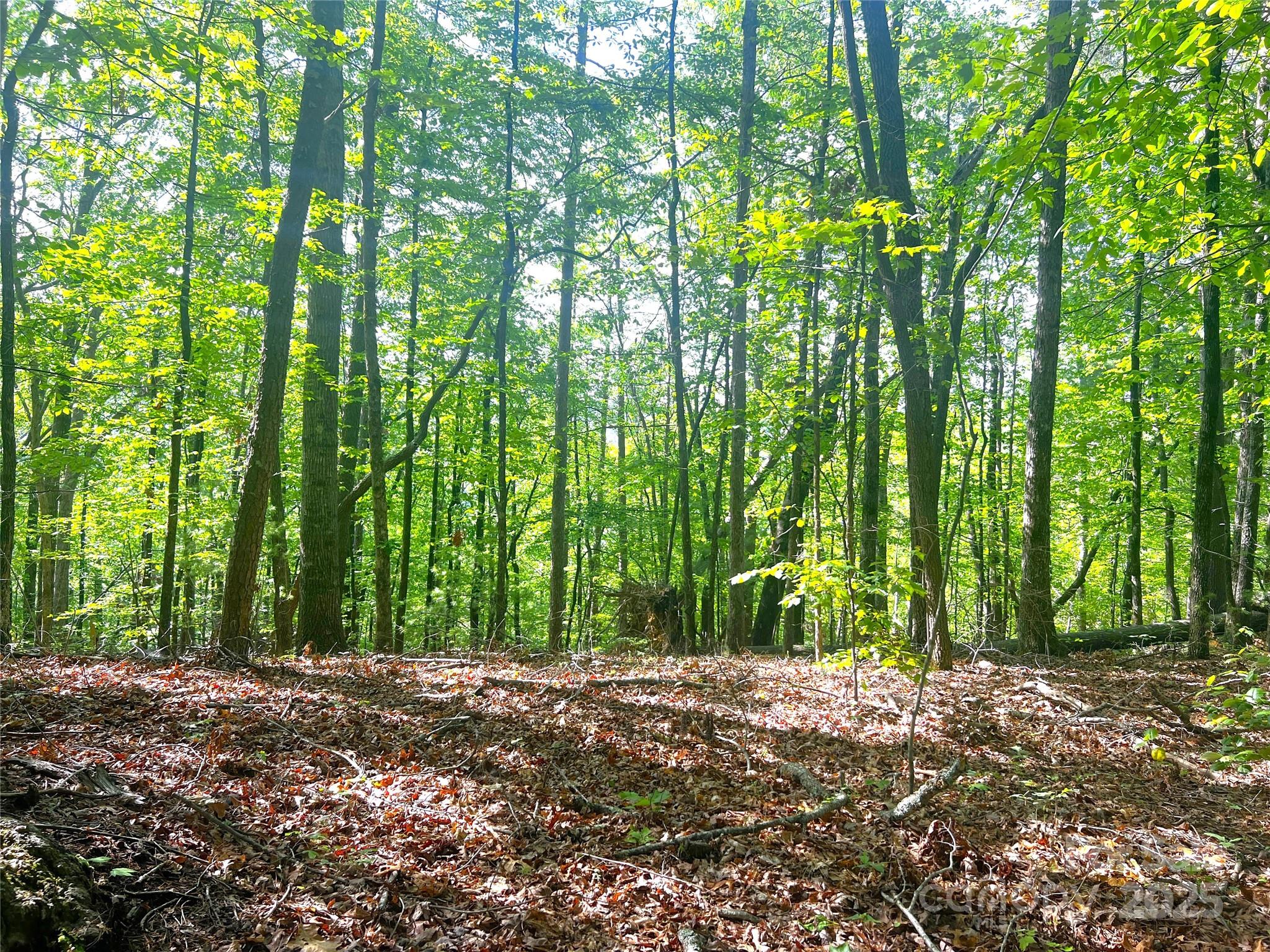 Lot 16 Arrowhead Ridge 16r Property Photo 4