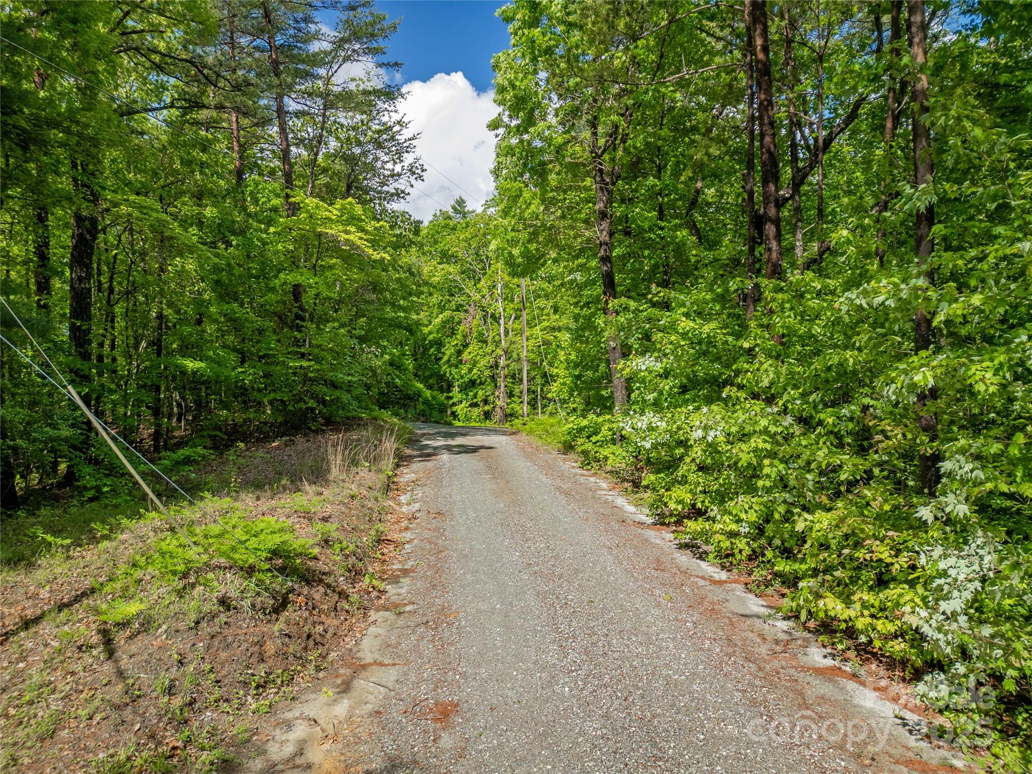 Lot 16 Arrowhead Ridge 16r Property Photo 6