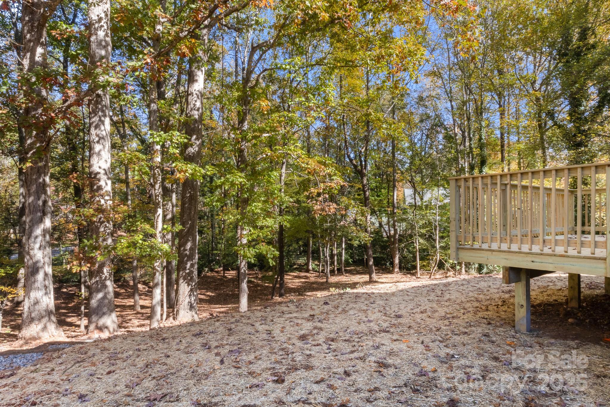 12415 Bluff Meadow Trail Property Photo 37