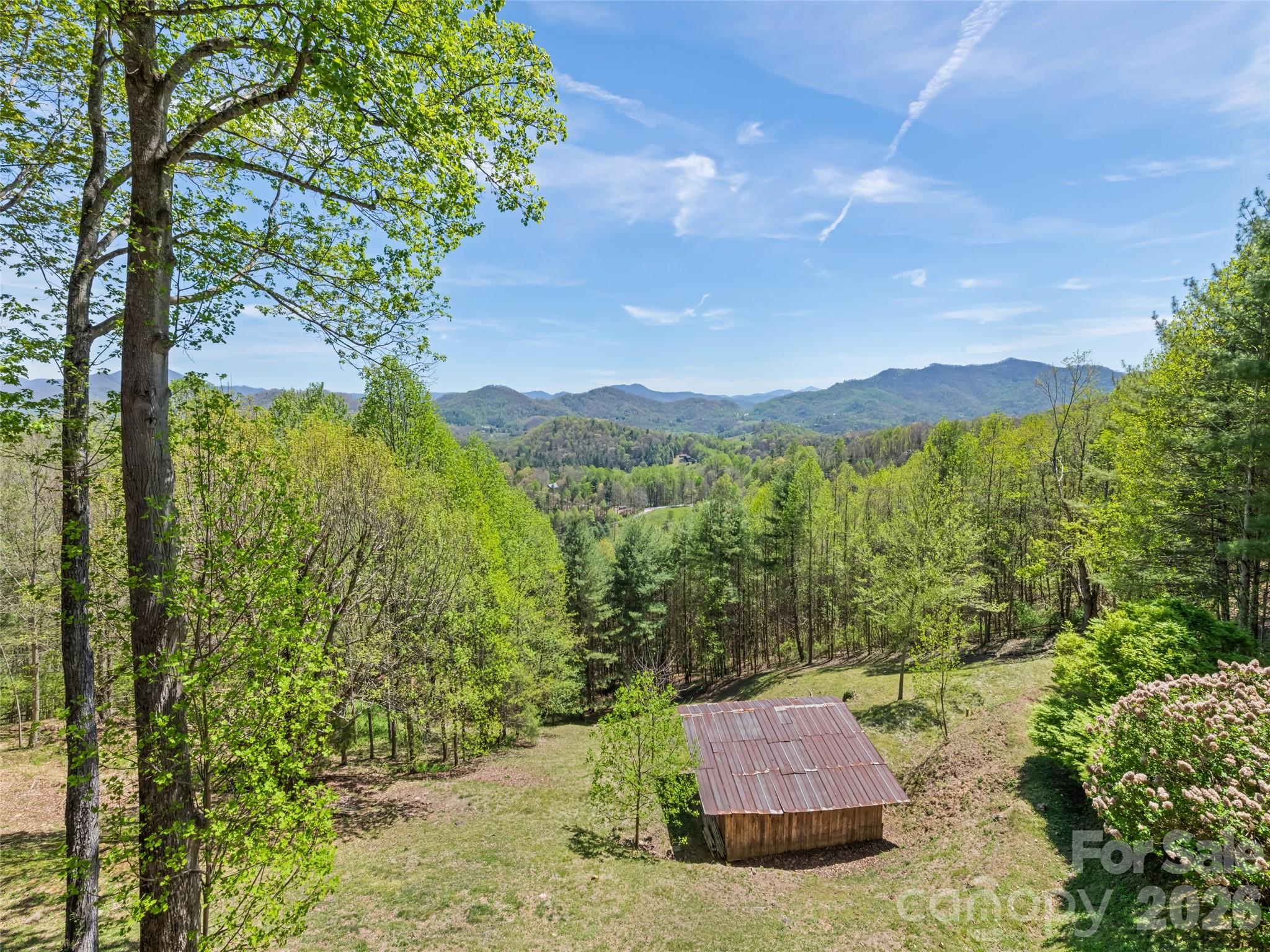 234 Historic Oak Trail Property Photo 4