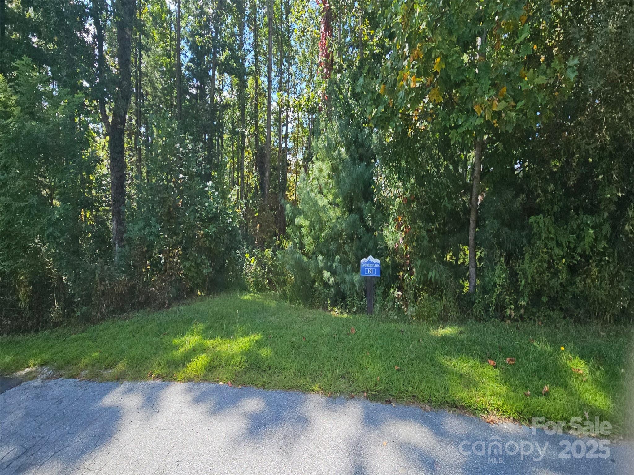 00 Bearwallow Mountain Drive 191 Property Photo 1