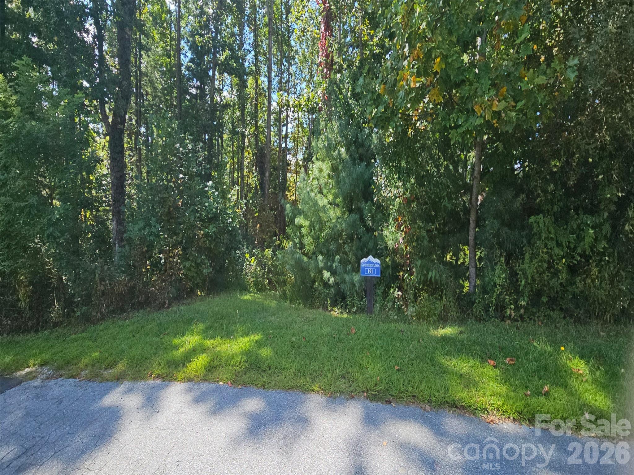 00 Bearwallow Mountain Drive 191 Property Photo 1