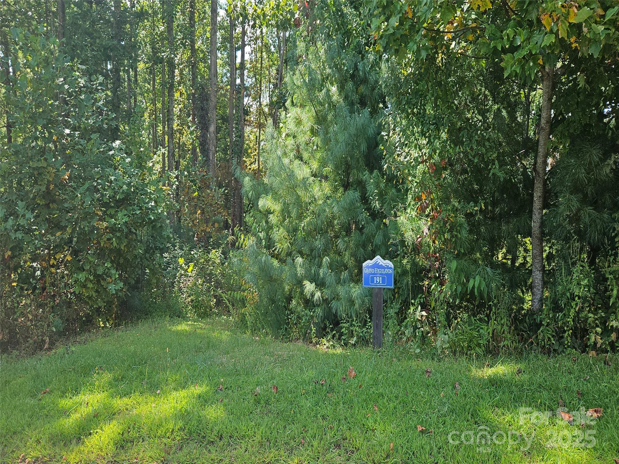 00 Bearwallow Mountain Drive 191 Property Photo 5