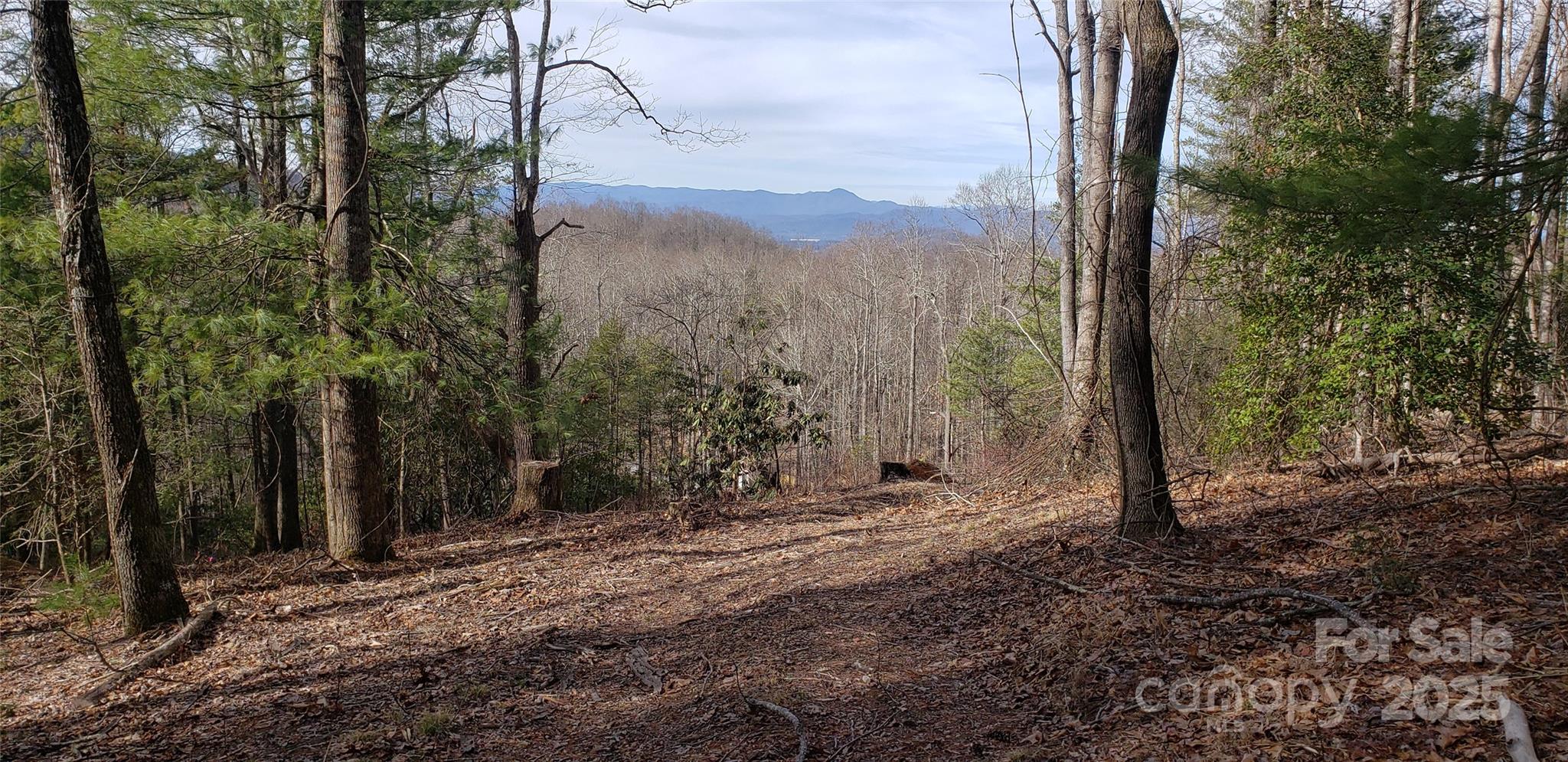 00 Bearwallow Mountain Drive 191 Property Photo 6