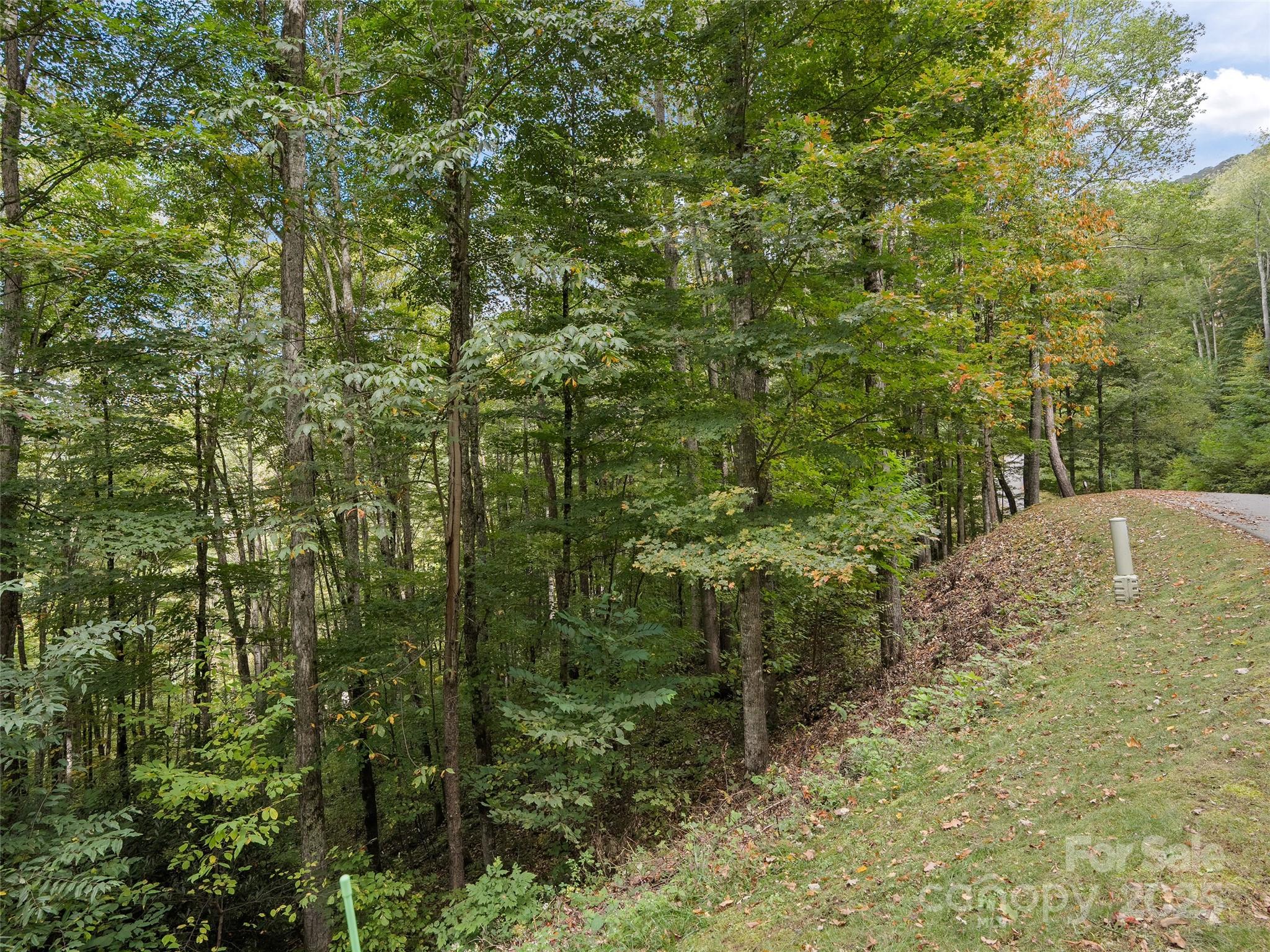 0 Macallan Drive 16 Property Photo 1