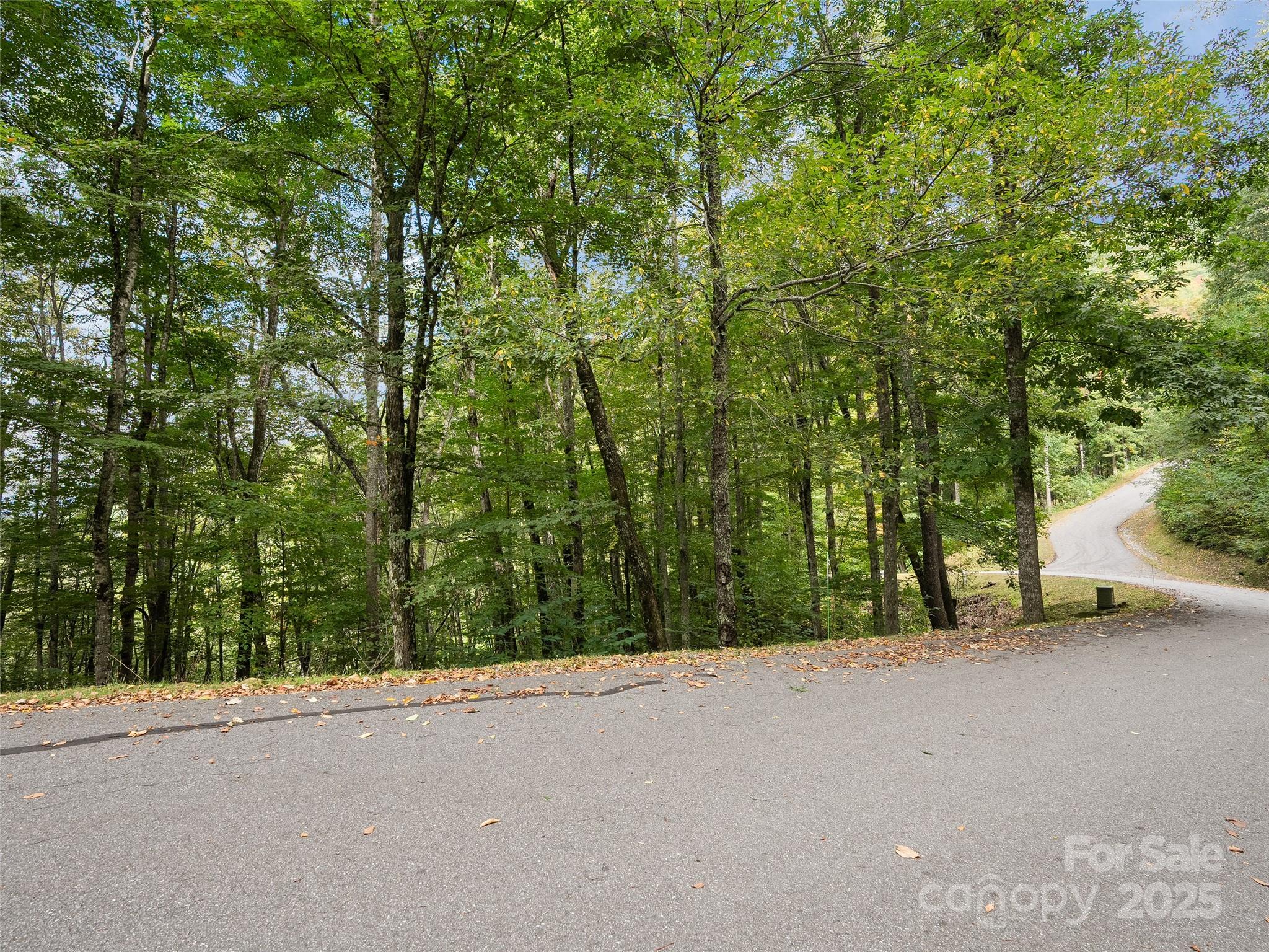 0 Macallan Drive 16 Property Photo 3