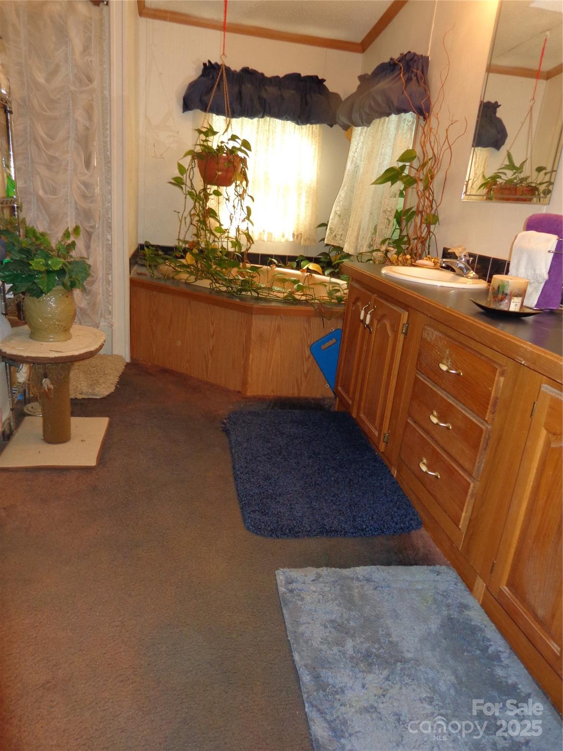 89 Blue Mountain Road Property Photo 13