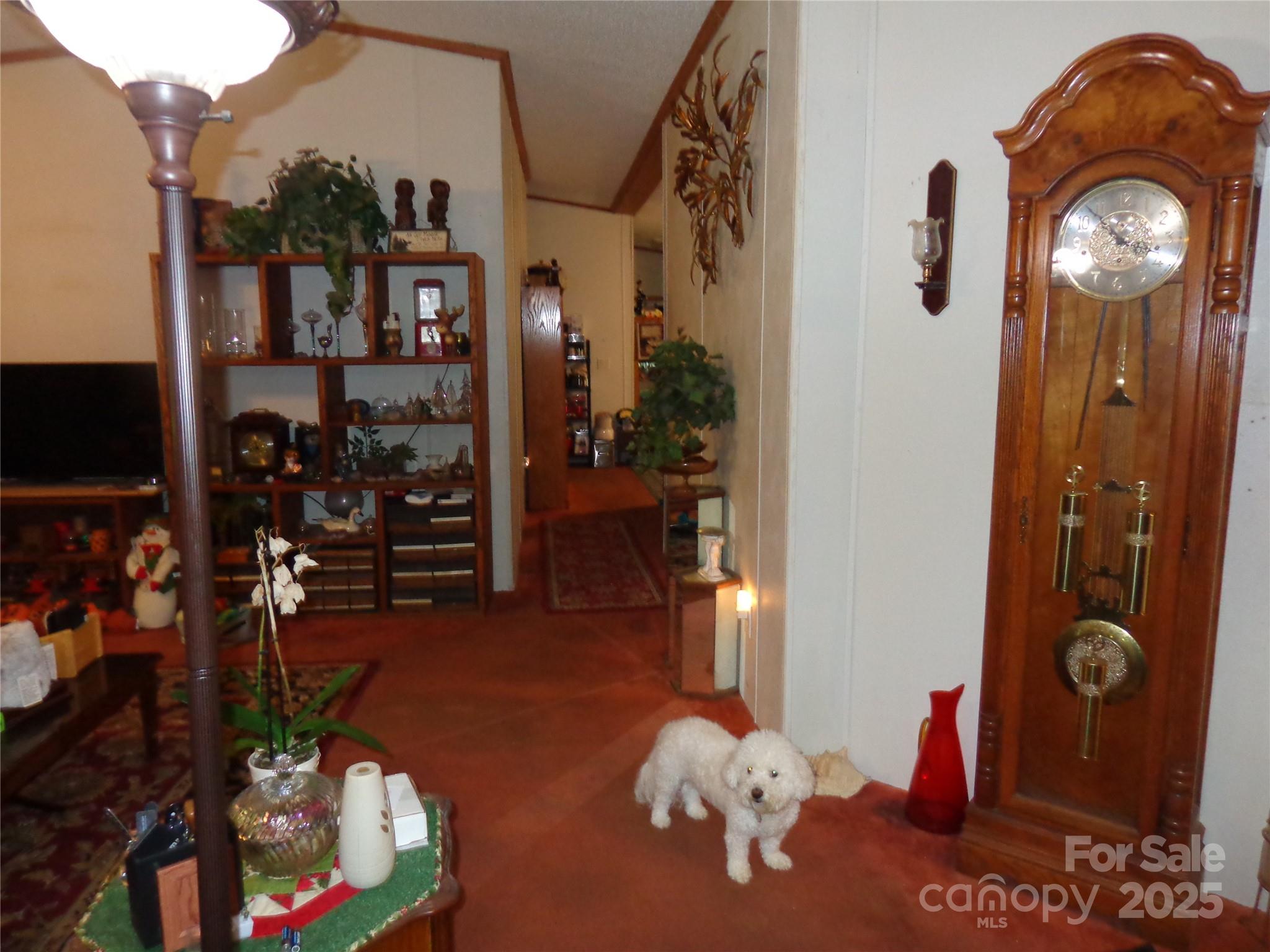 89 Blue Mountain Road Property Photo 23