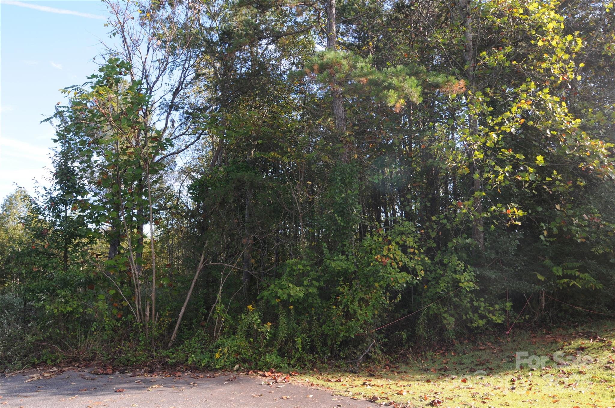 2320 Dobbins Court Property Photo 3